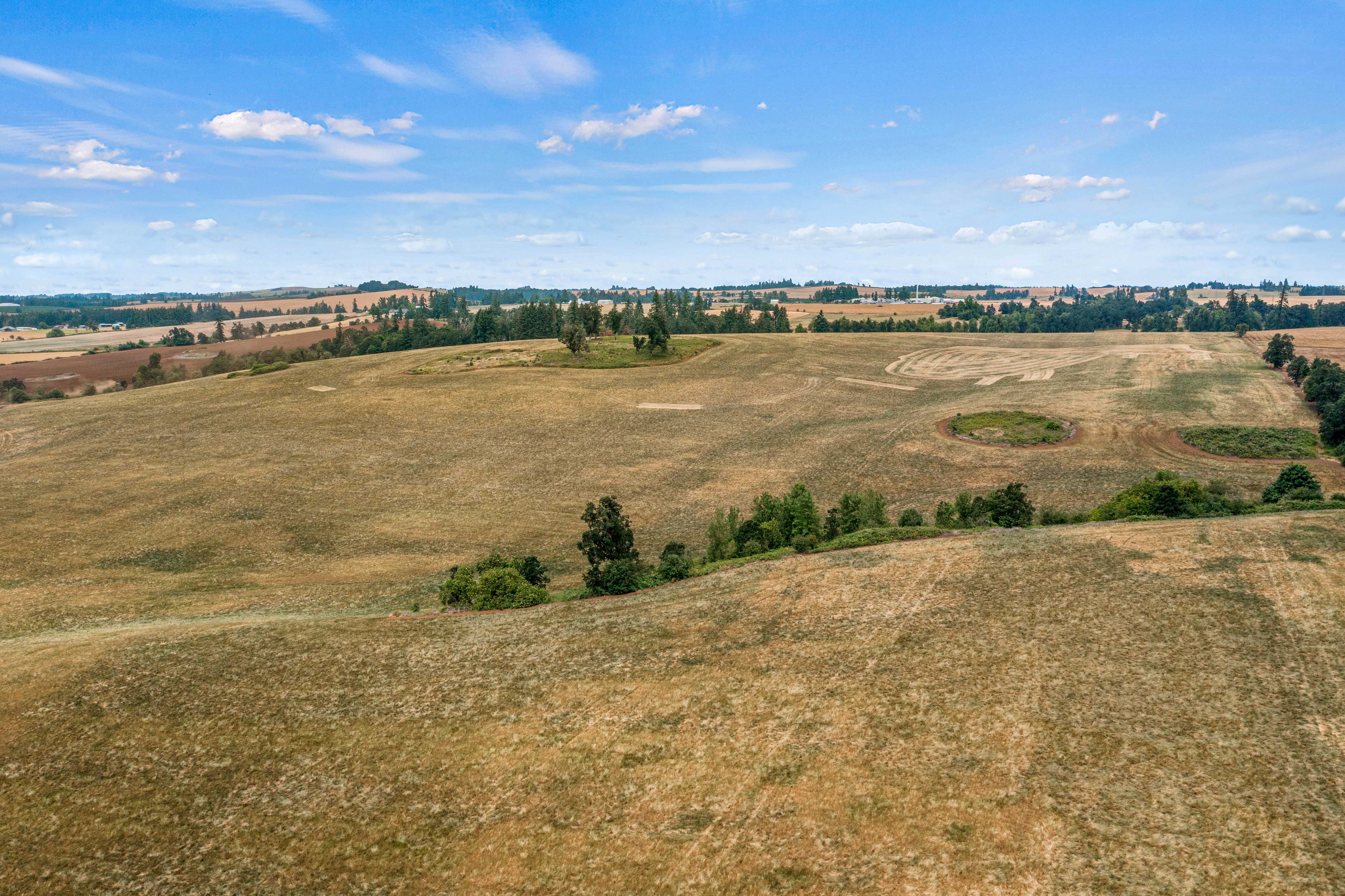 Sublimity 152 — Productive Willamette Valley Farm for Sale with Creek Frontage and Homesite Potential