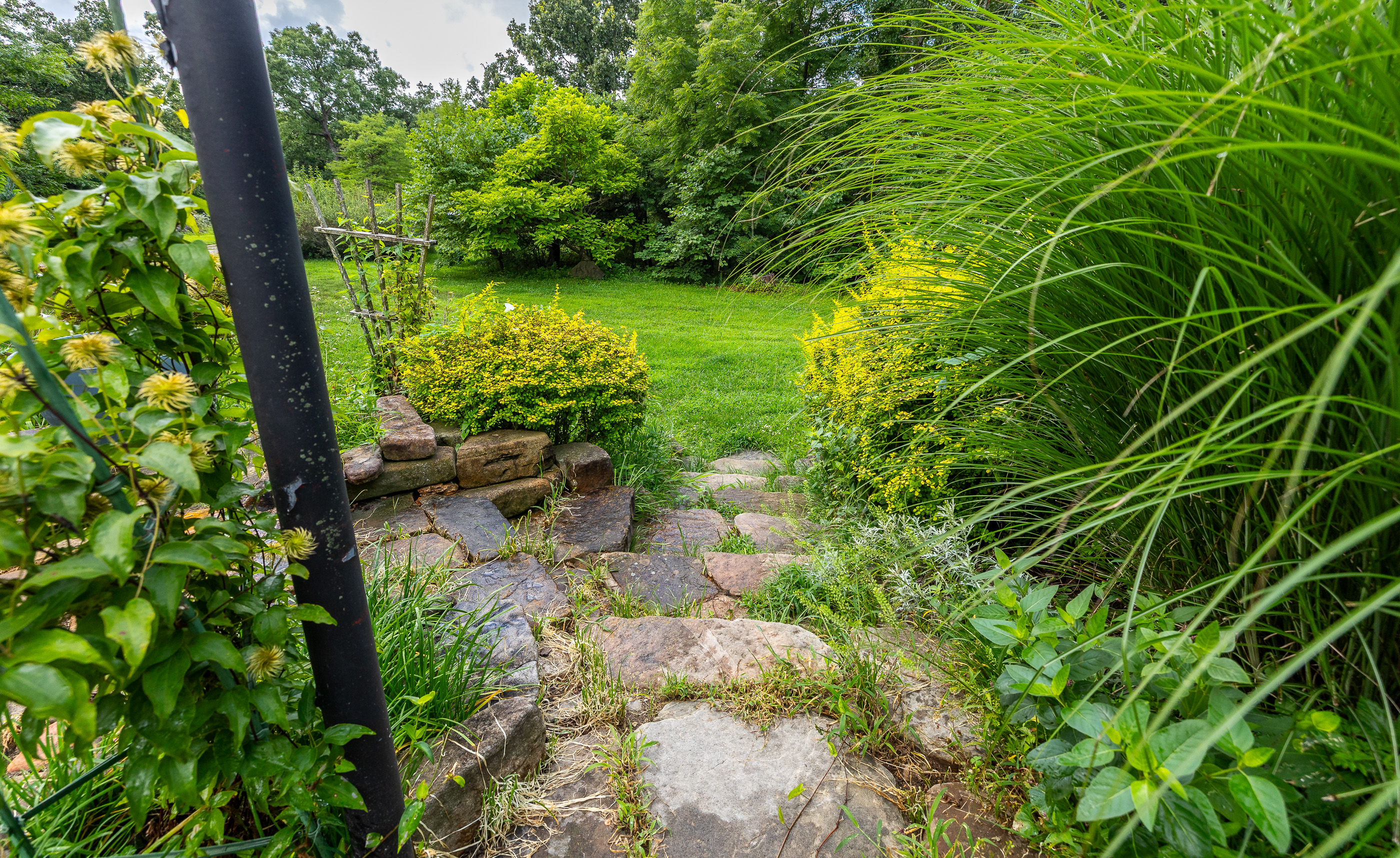 Verdant Bloom Retreat