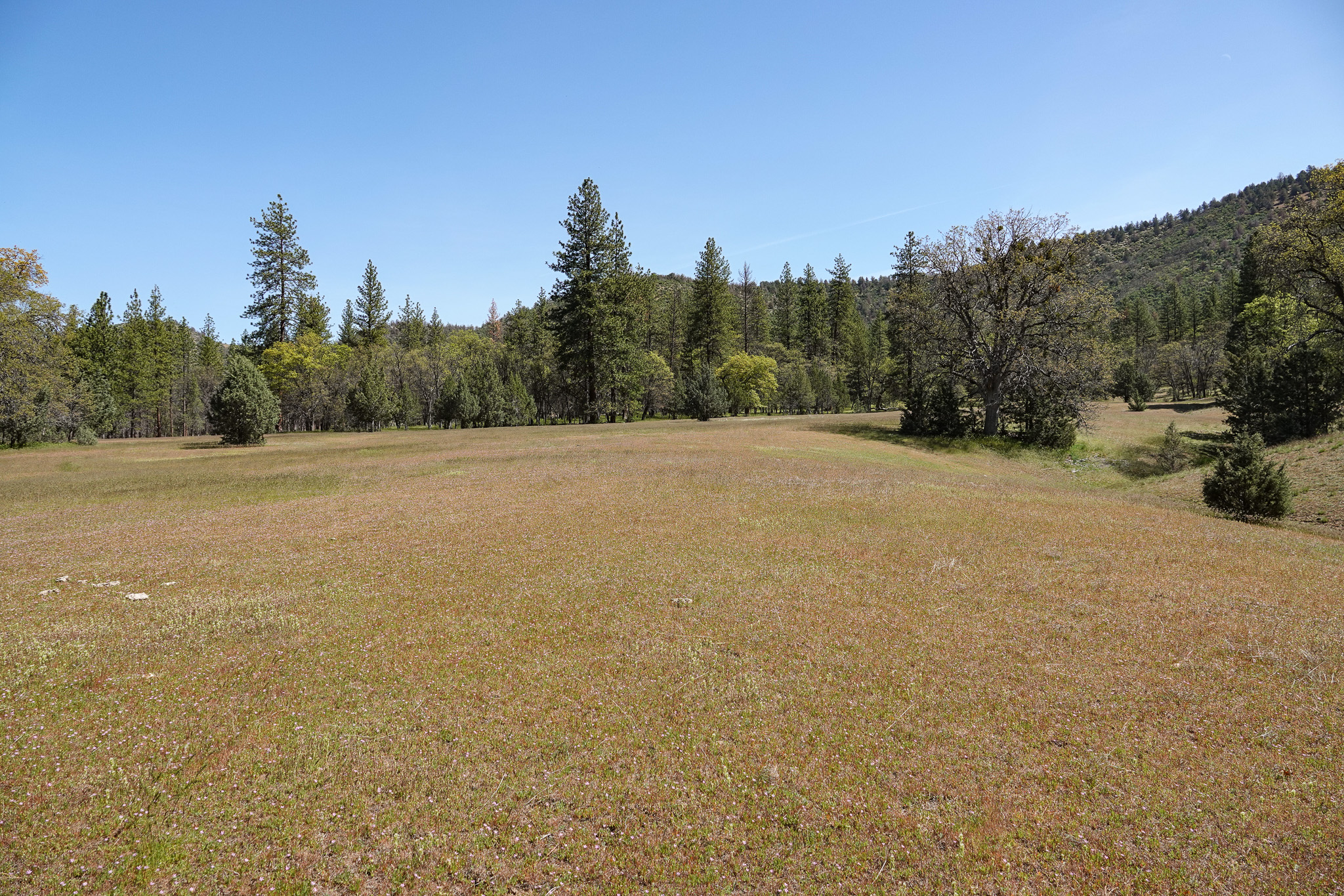 Scarface Acreage