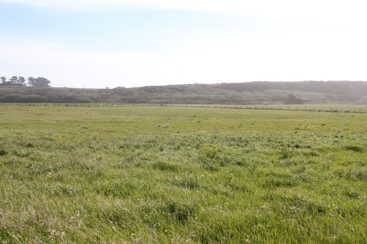 Listing Image 45