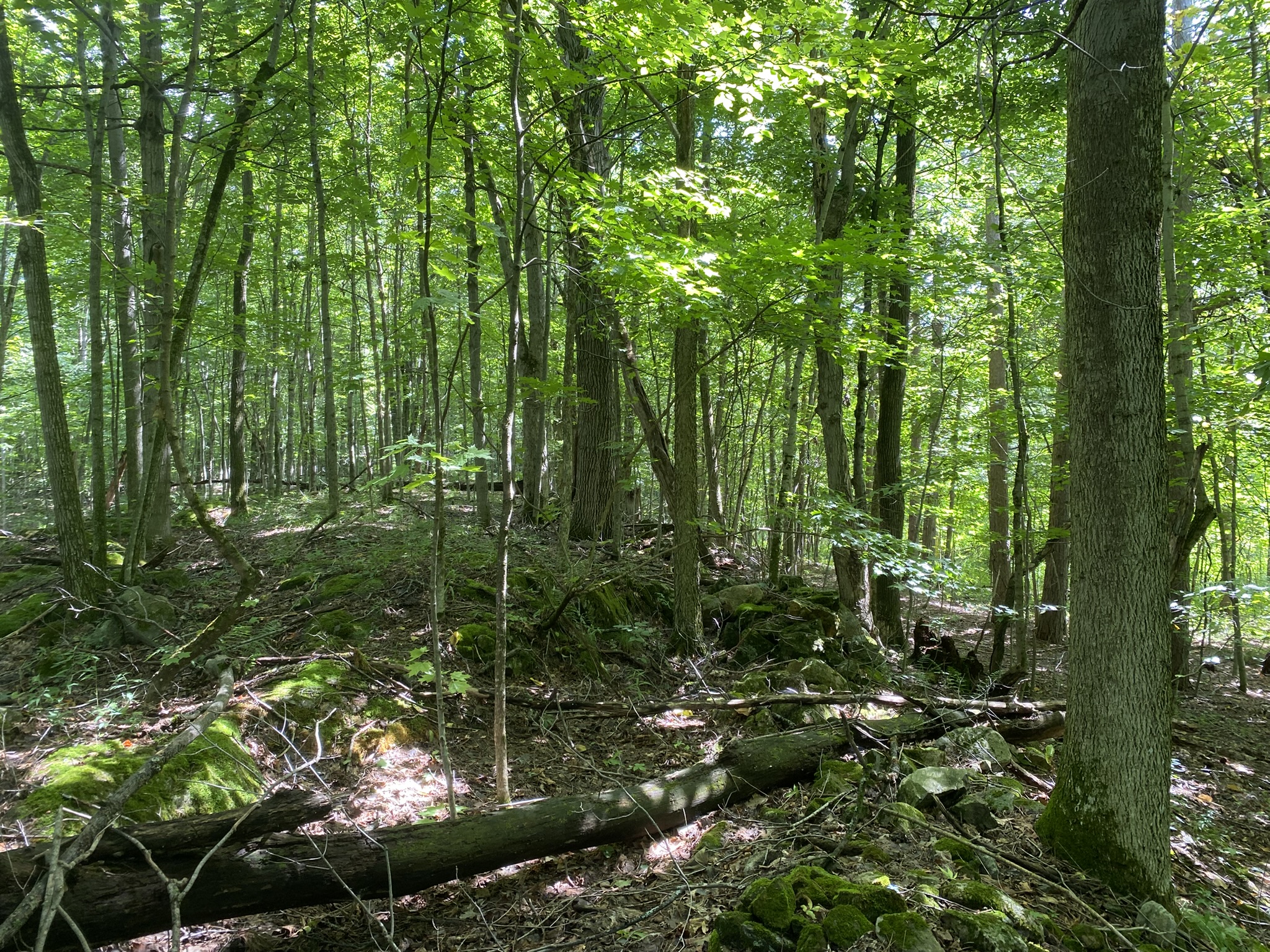 Listing Image 16