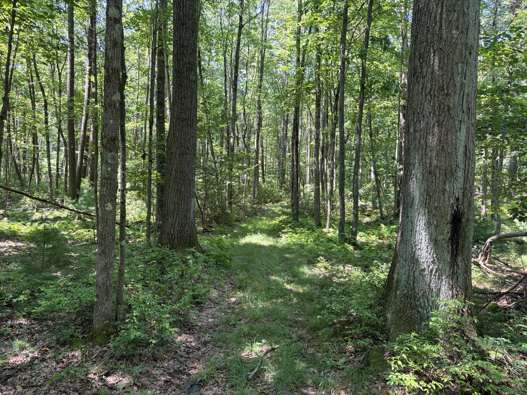 Listing Image 37