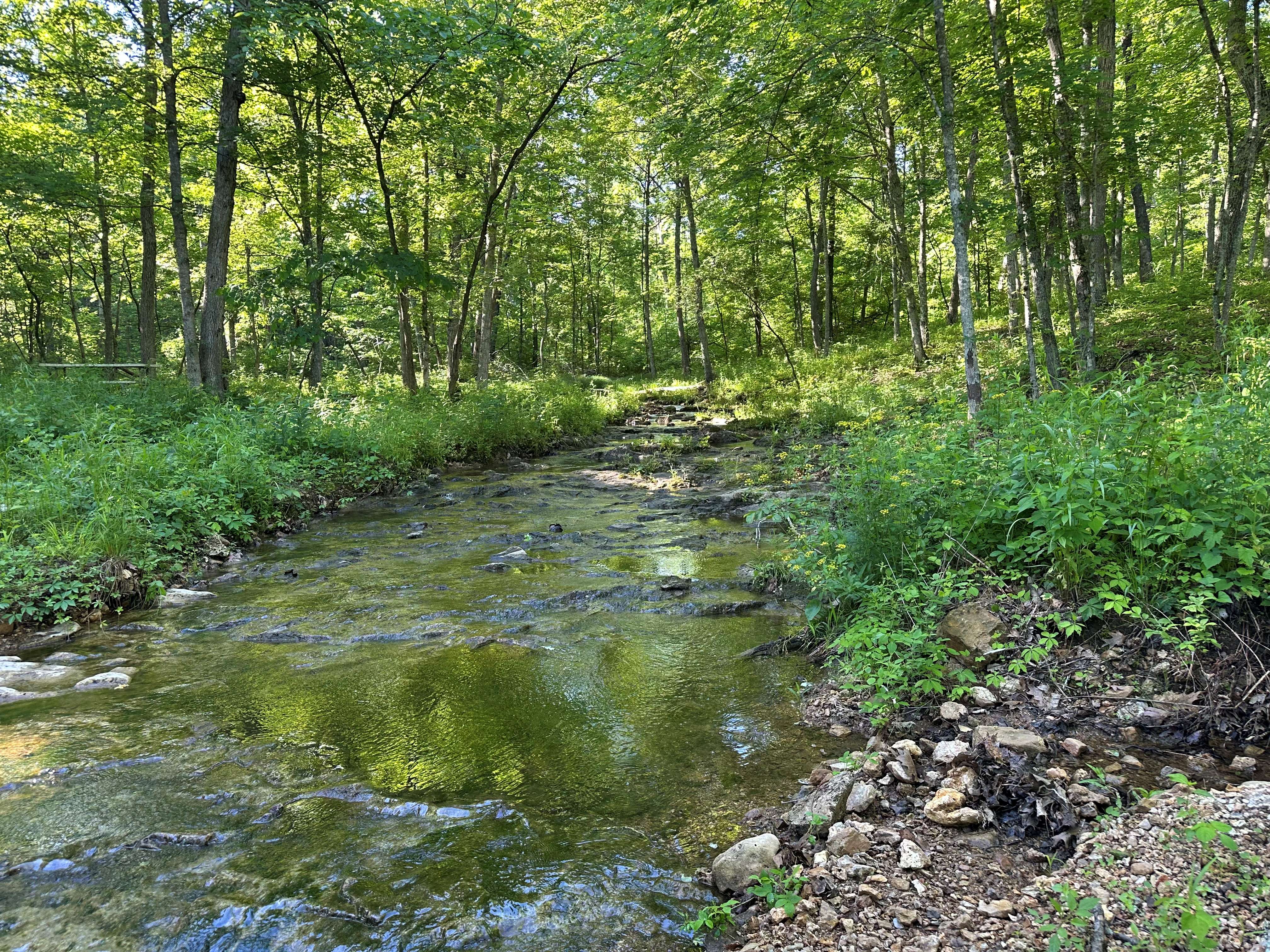 Mill Rock Creek 70