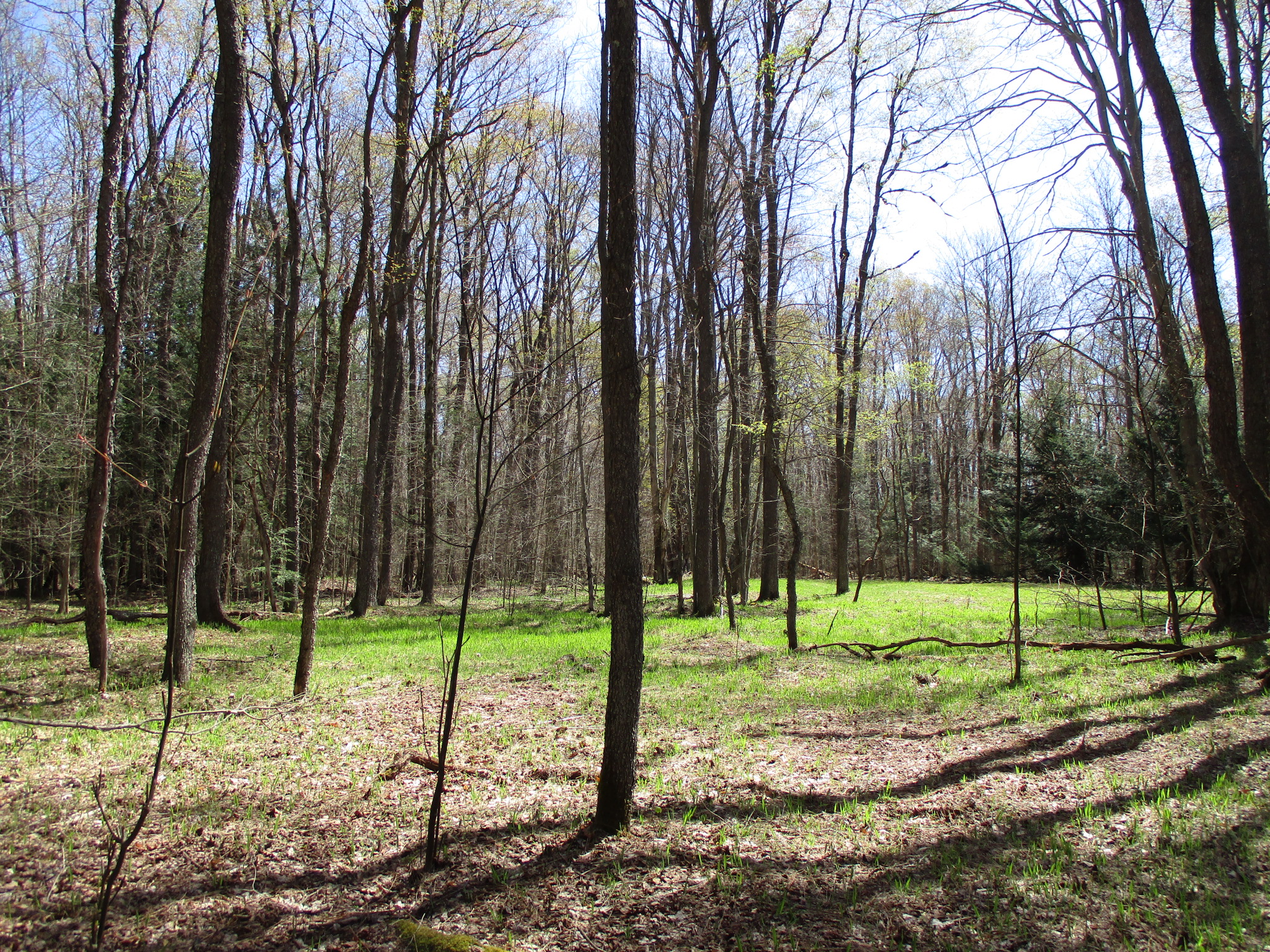 Listing Image 14
