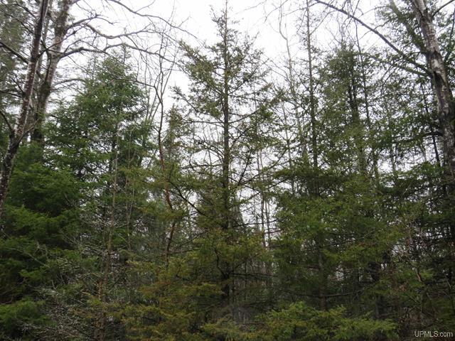 80 Acre Woodland Retreat 50173805