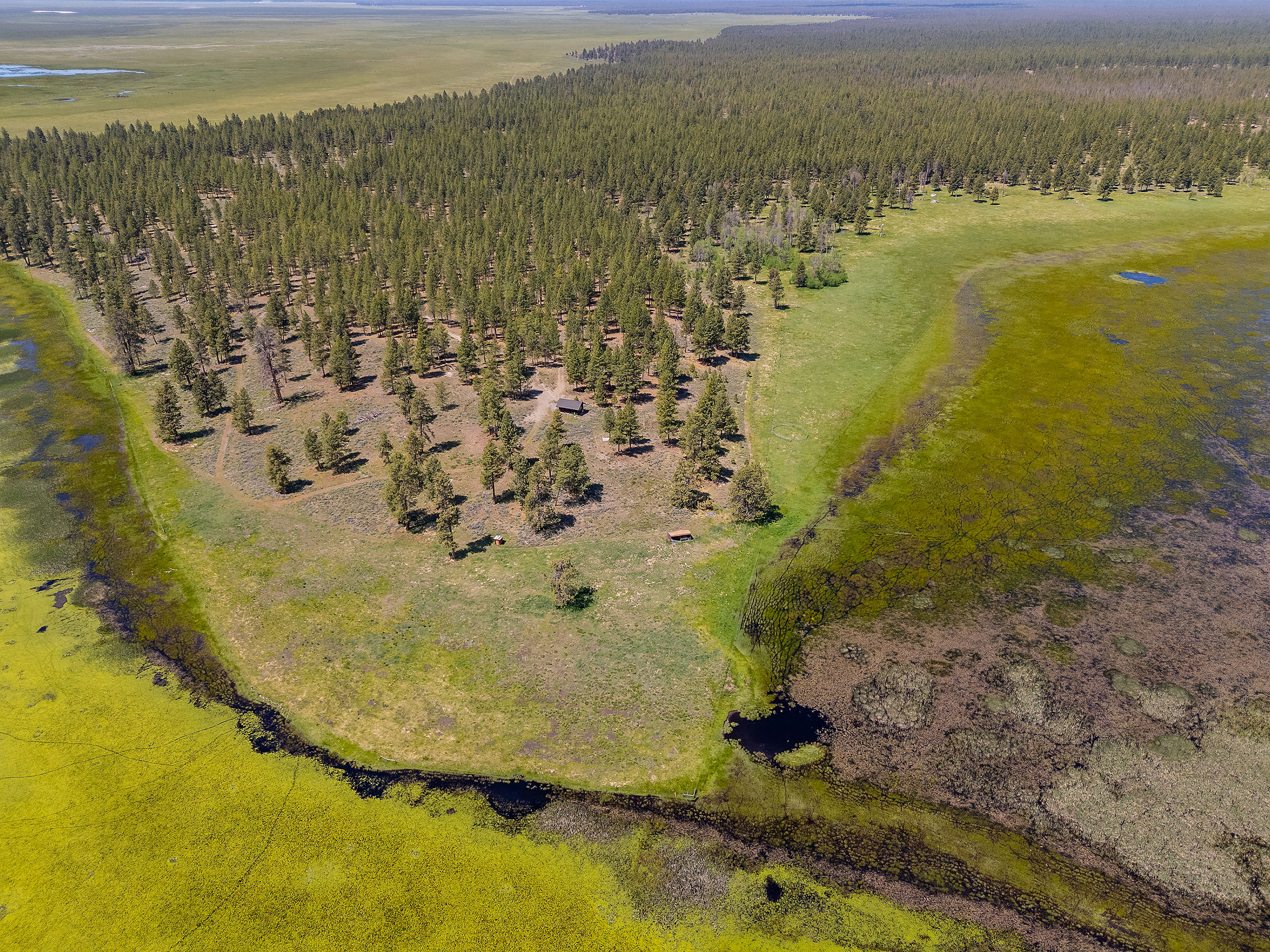 Klamath Marsh Retreat