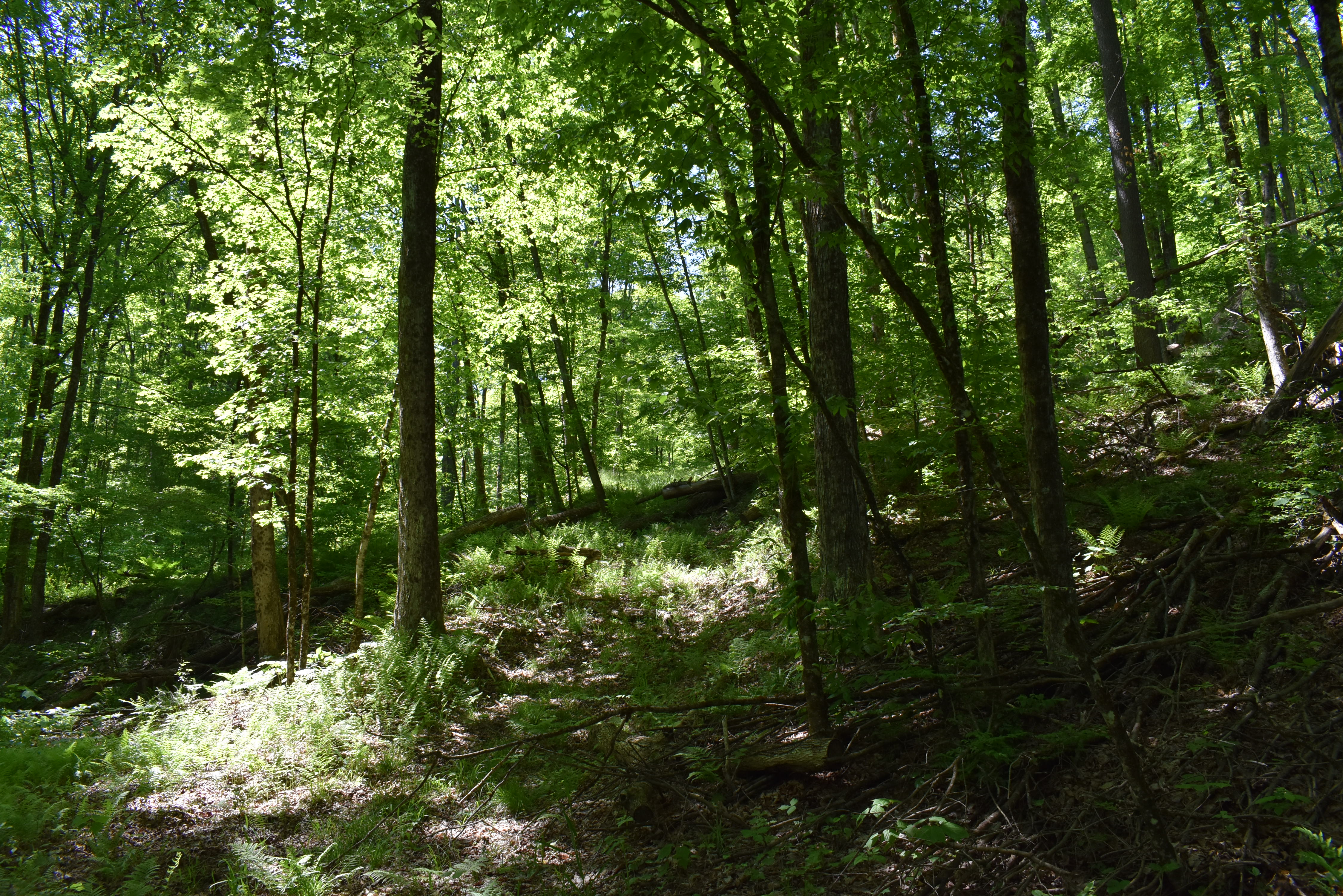 Listing Image 6