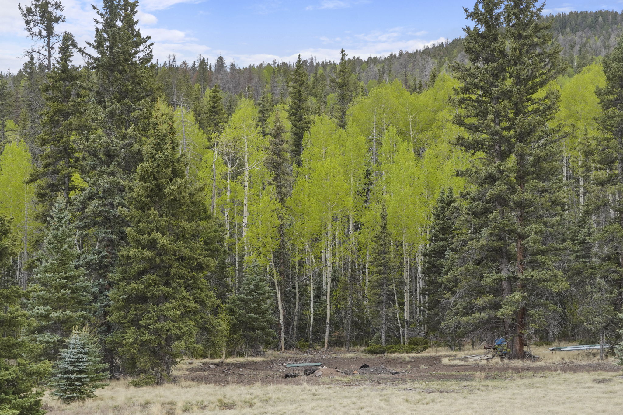 Listing Image 32