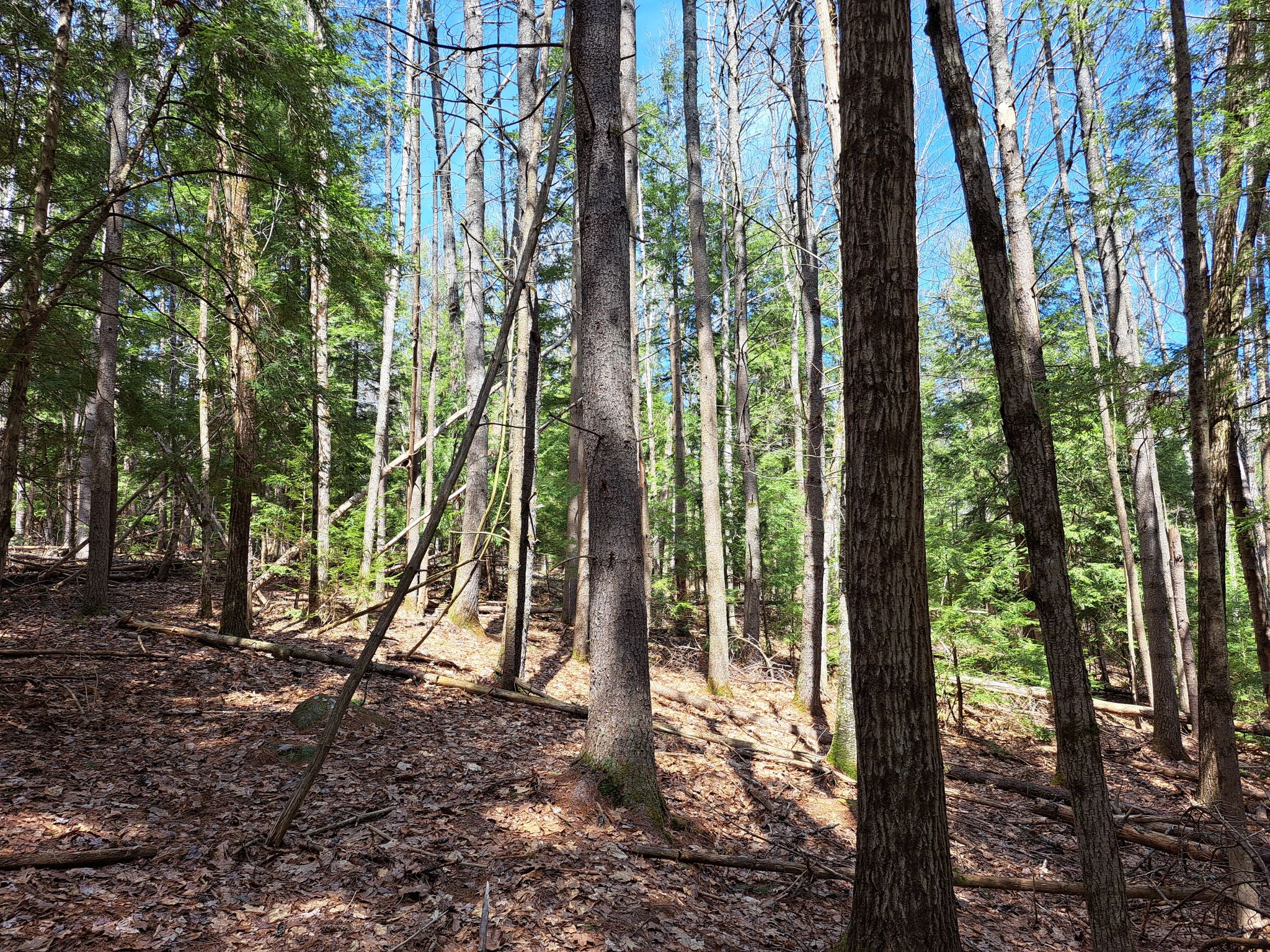 Listing Image 40