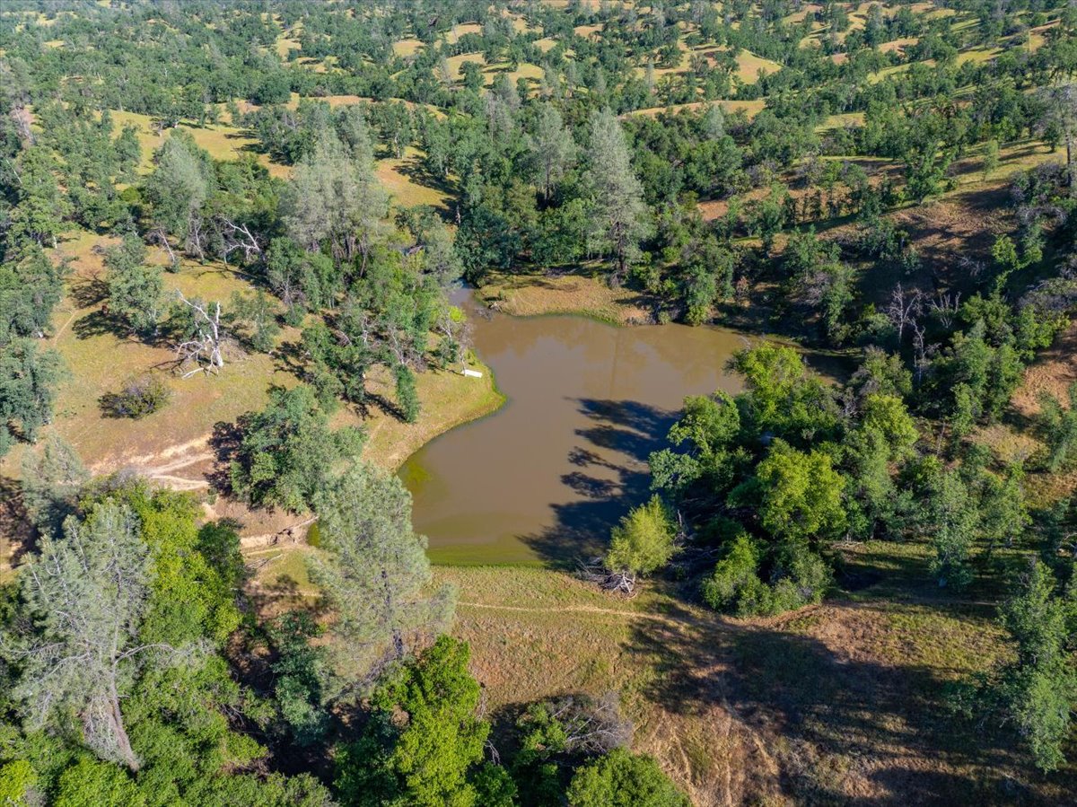 Davis Ranch Road