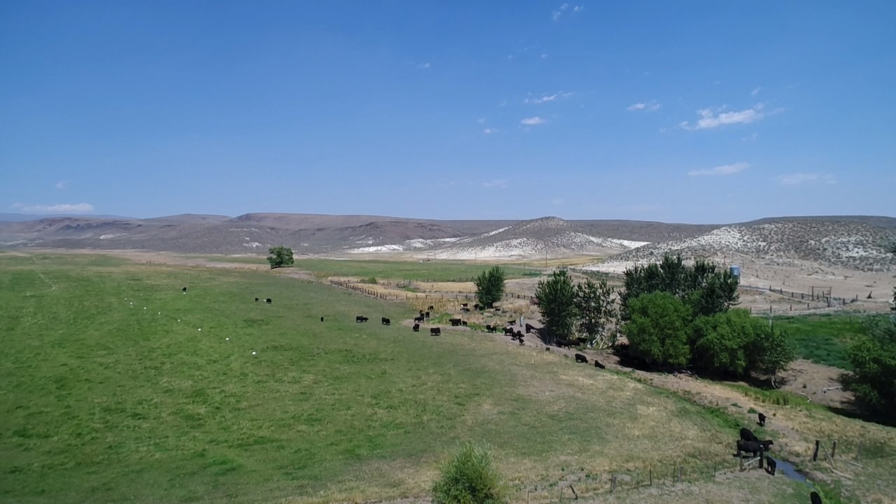 Listing Image 33