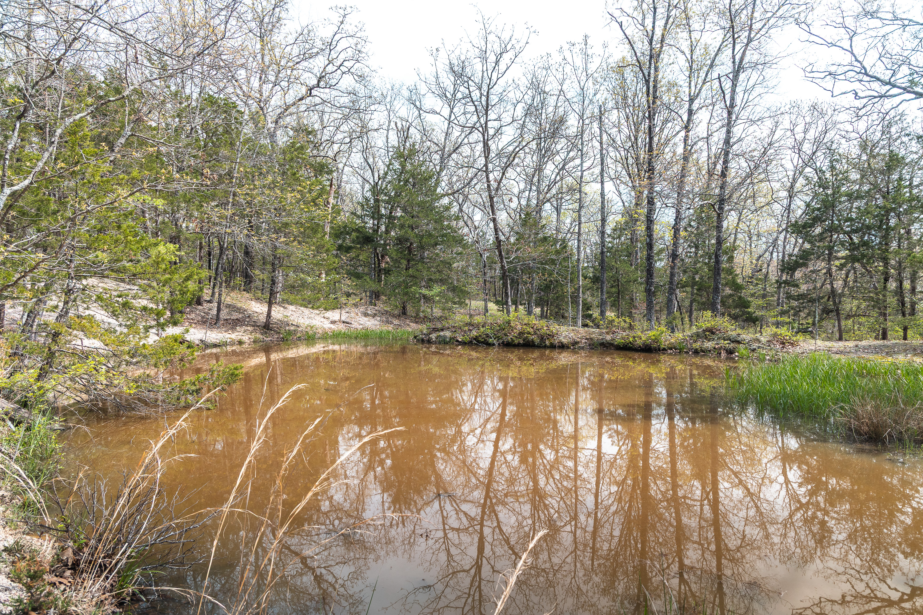 Owensville Buck Nest