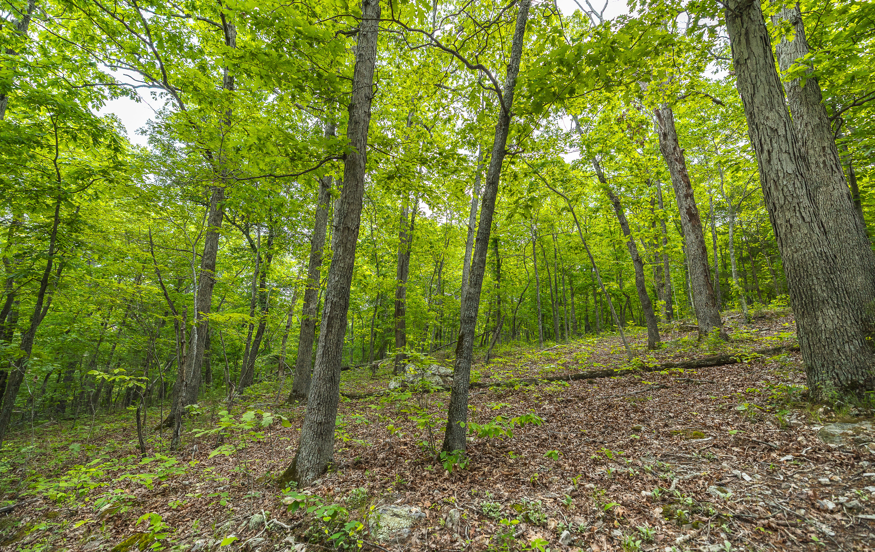 Waters Edge on the Gasconade River Tract 1