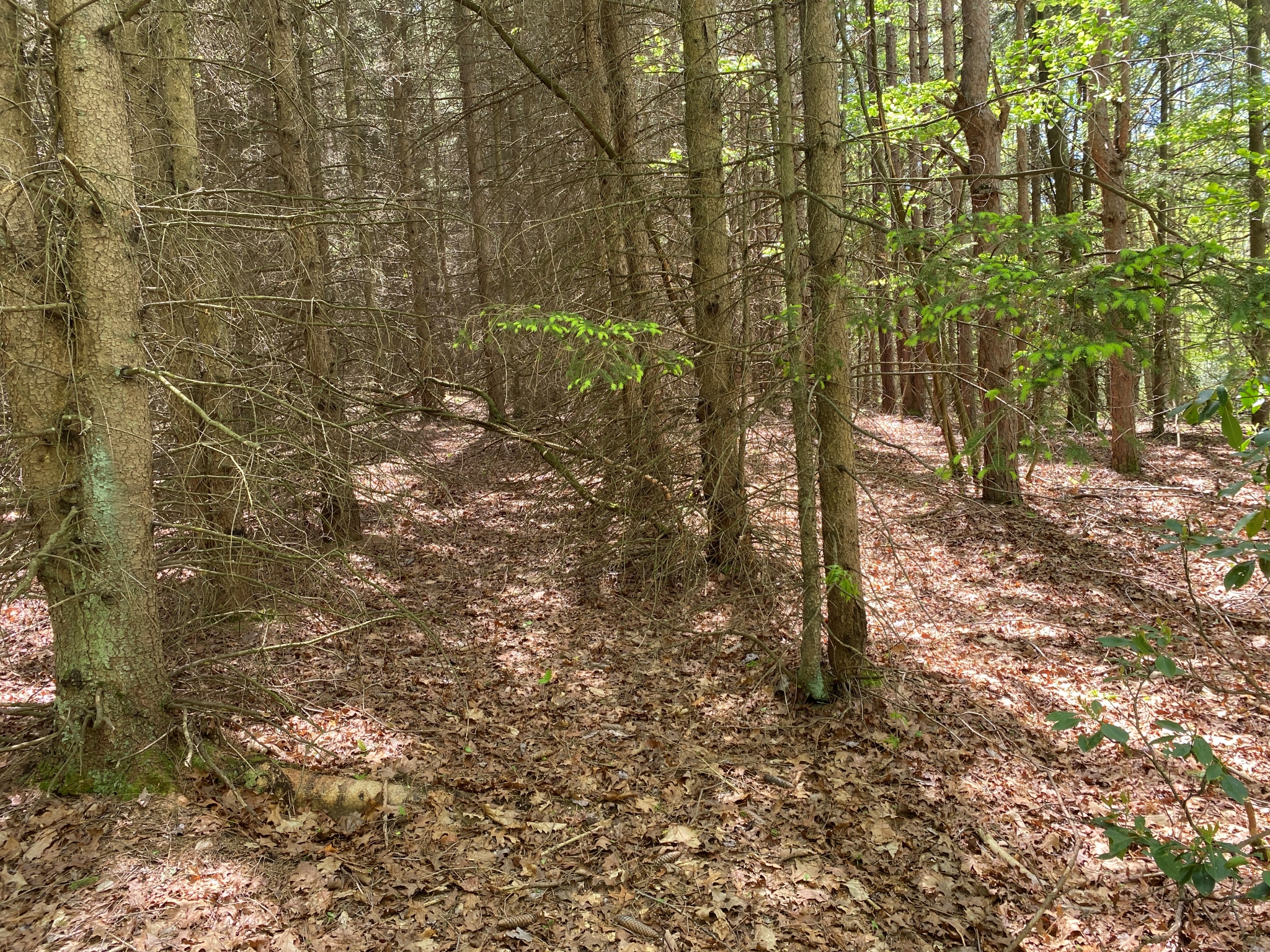 Listing Image 24