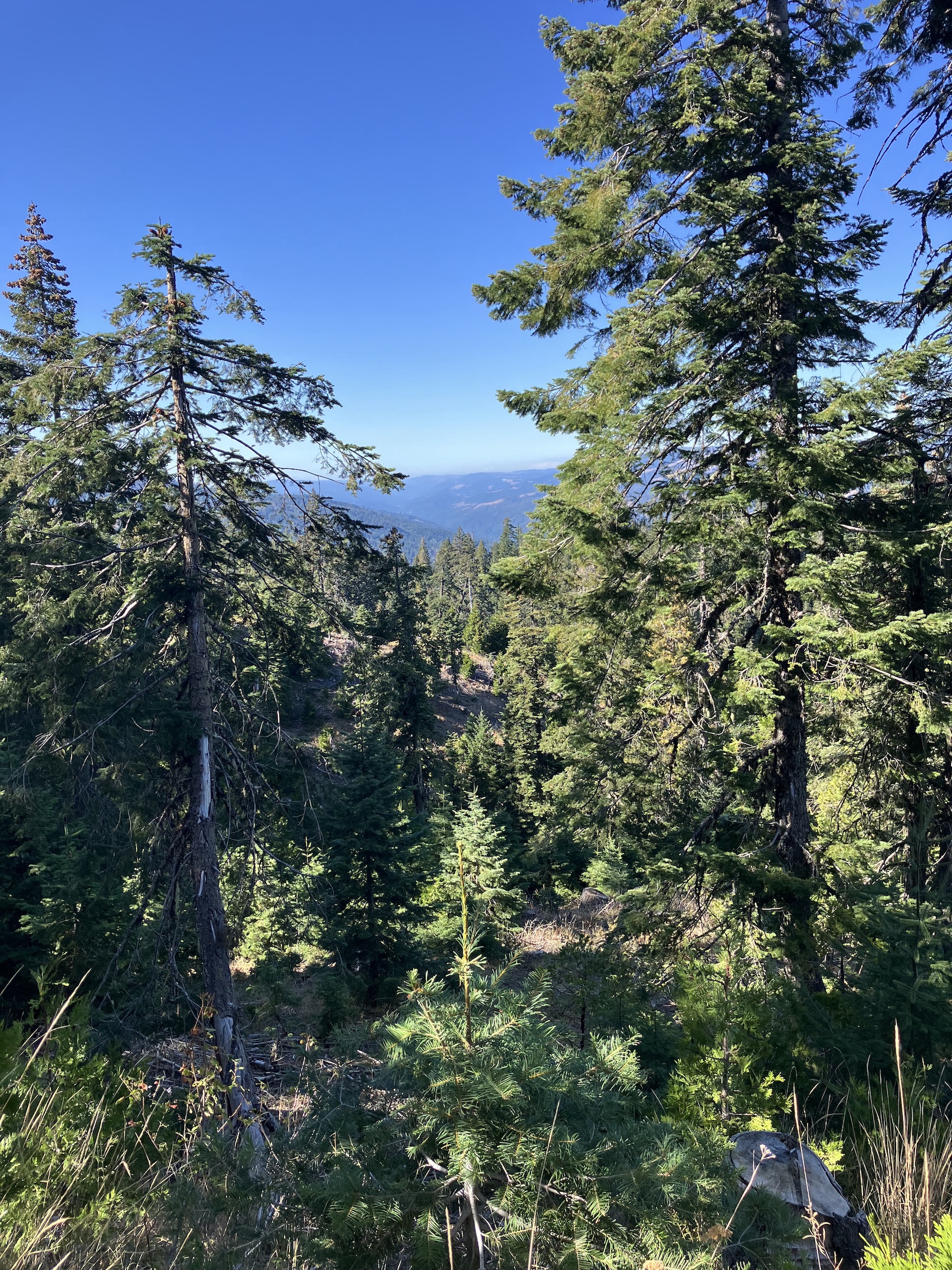 Listing Image 29