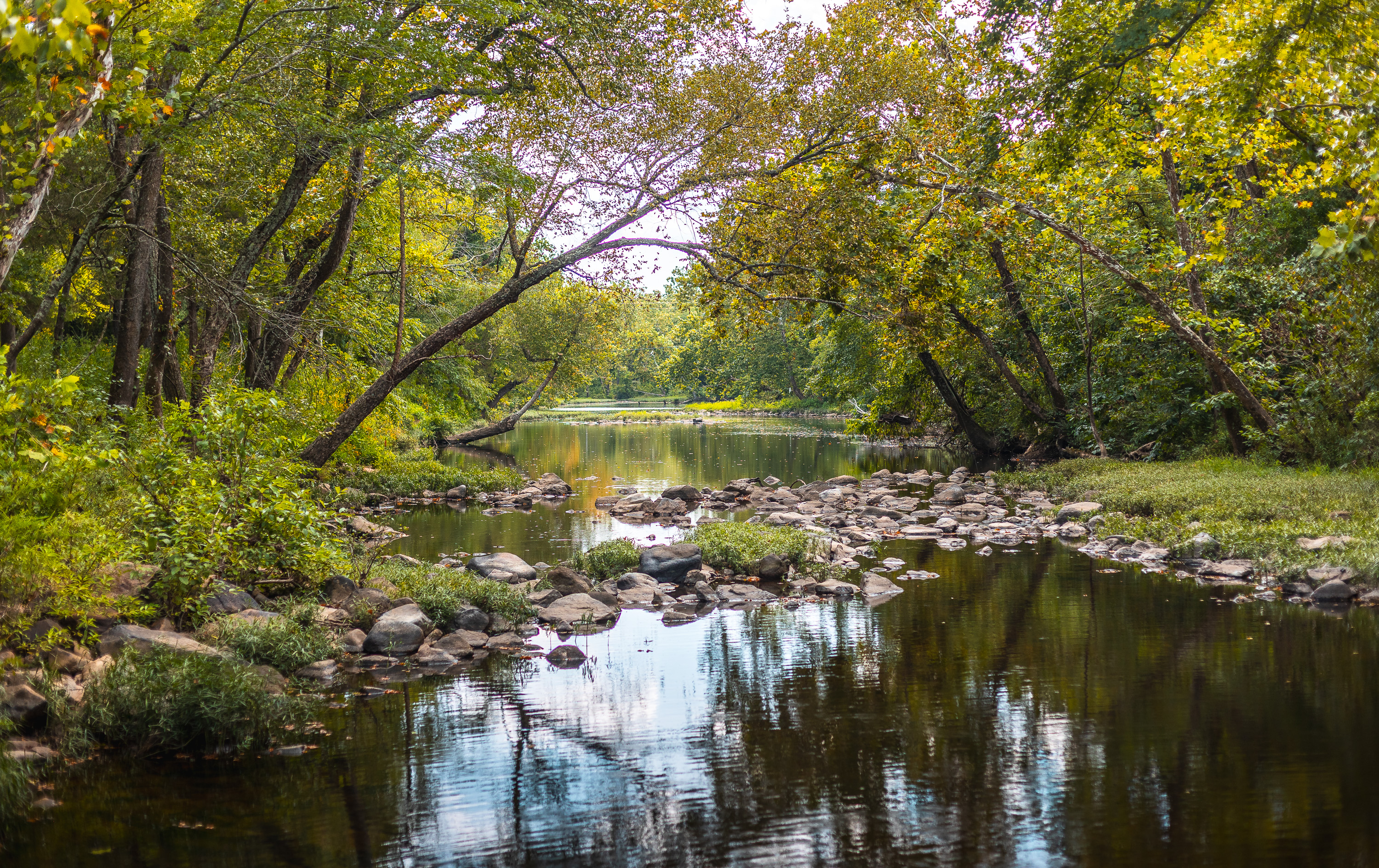 420 Acre Farm on Stouts Creek