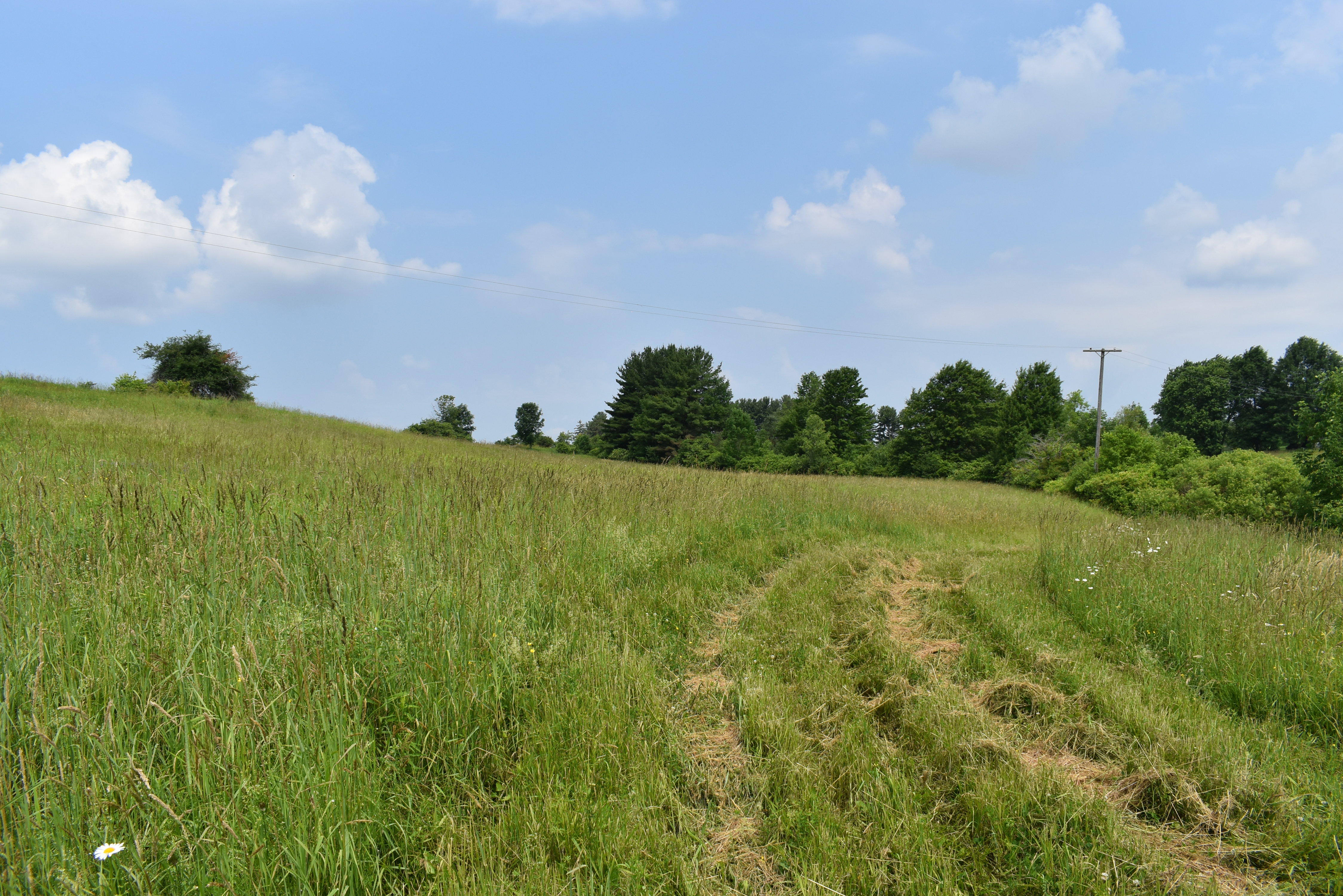 Listing Image 72