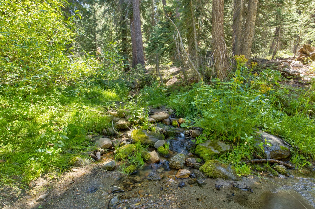 Sequoia High Sierra Camp