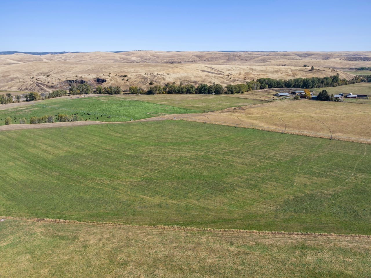 Listing Image 4