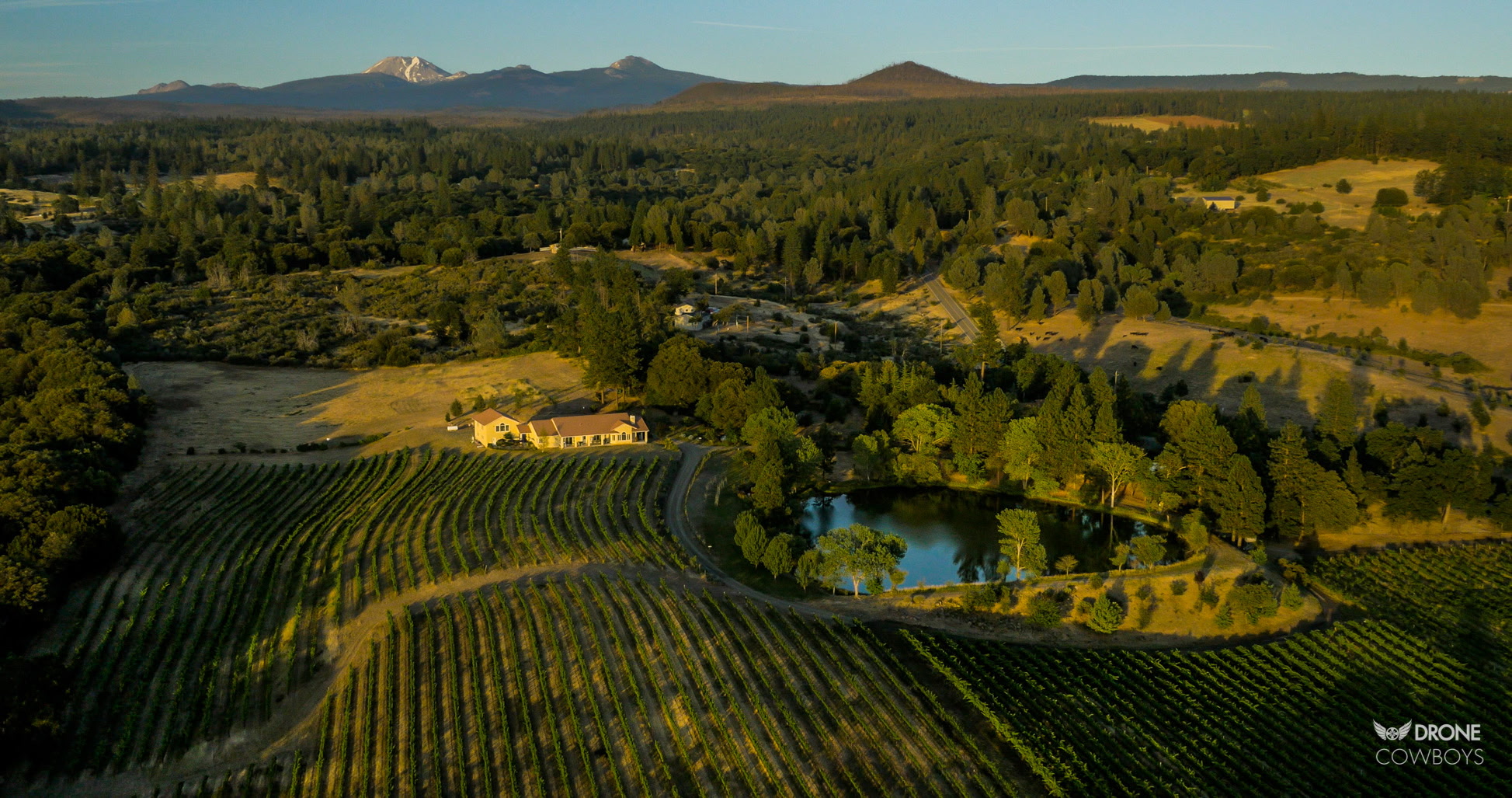 Alger Vineyards and More