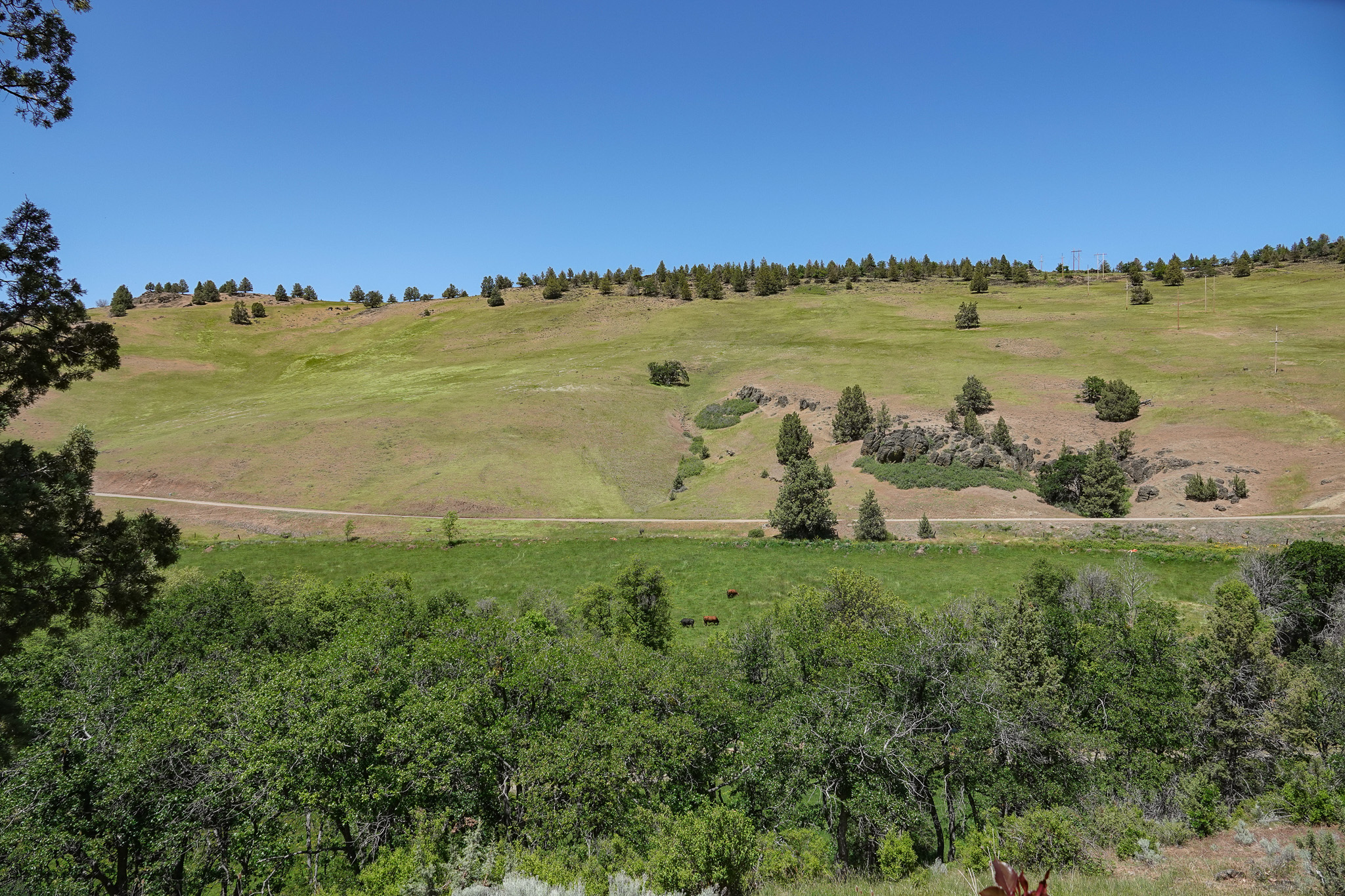 MJ Ranch