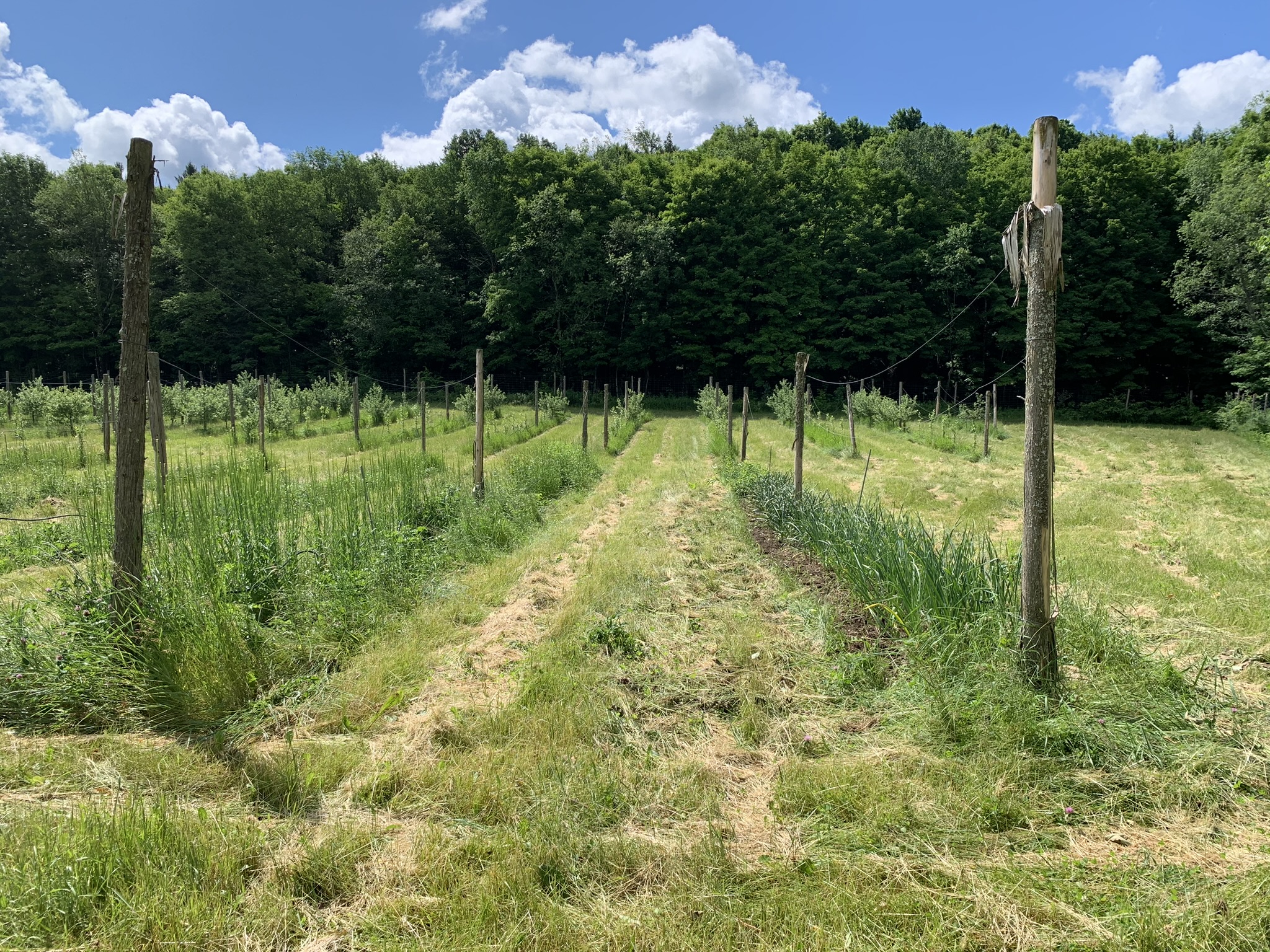 Listing Image 33
