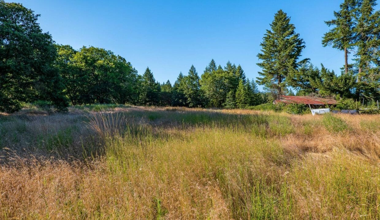 Sauer's Flat Farm & Ranch