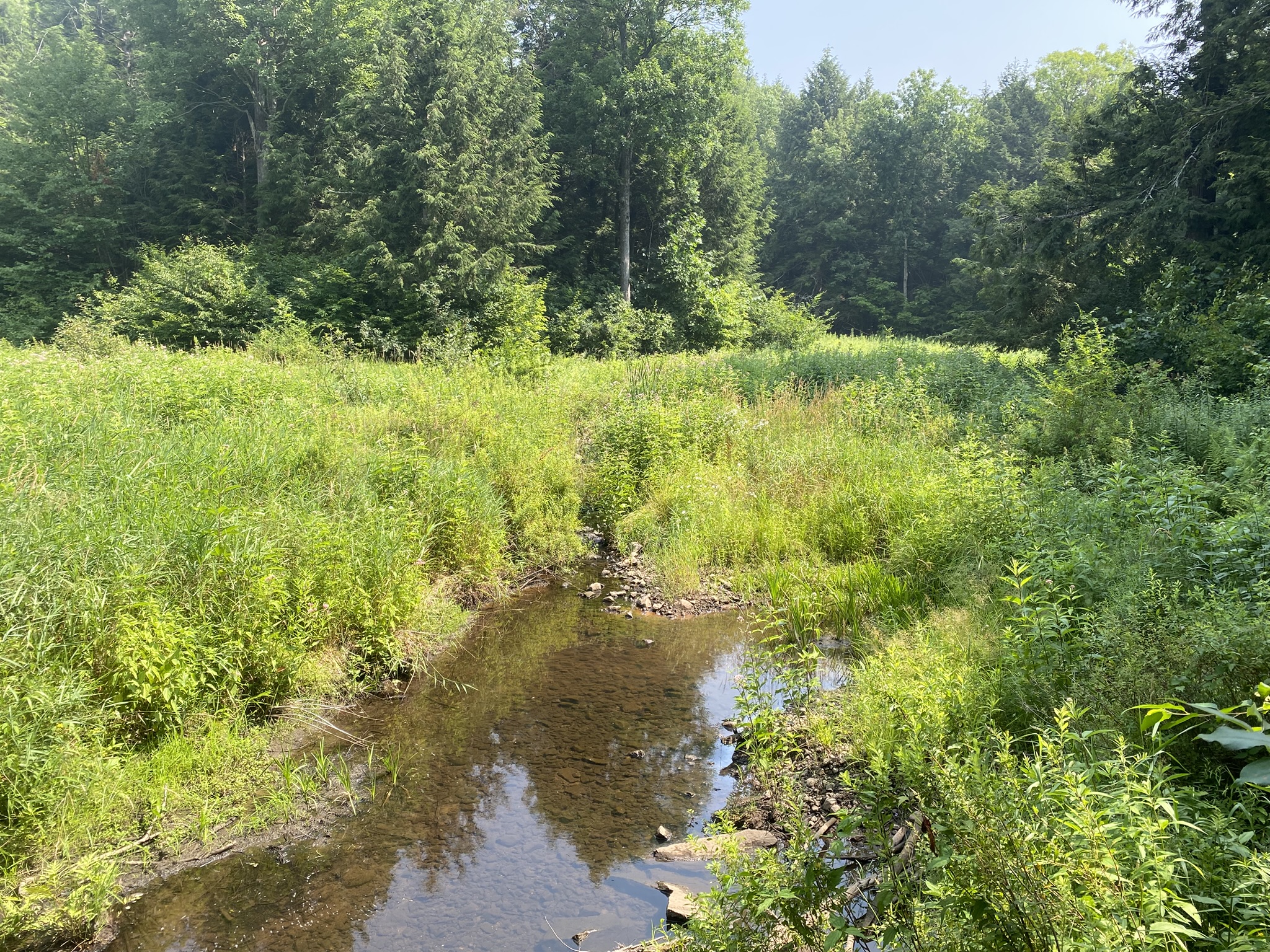 Listing Image 97