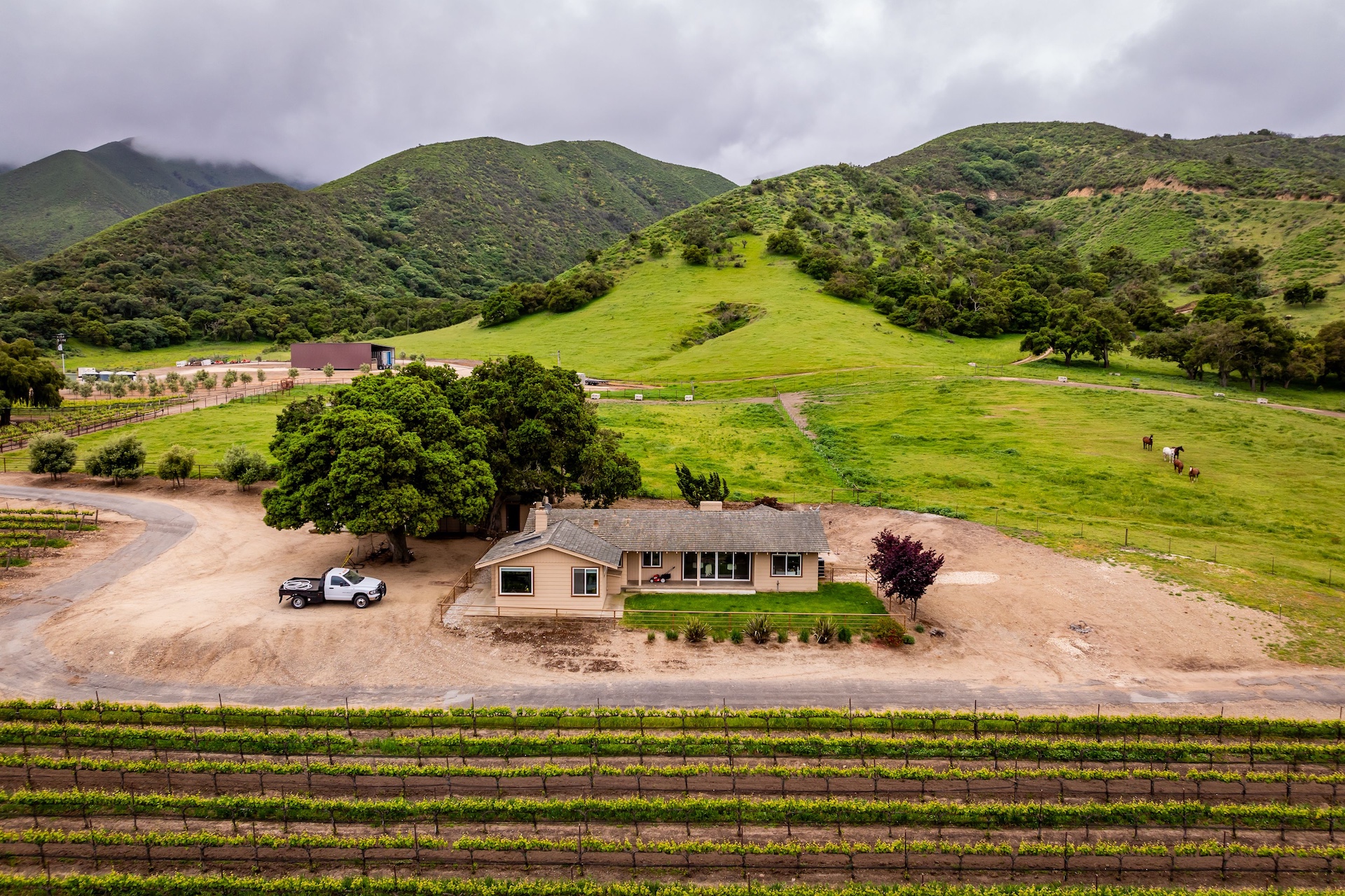 Boekenoogen Santa Lucia Highlands Vineyard