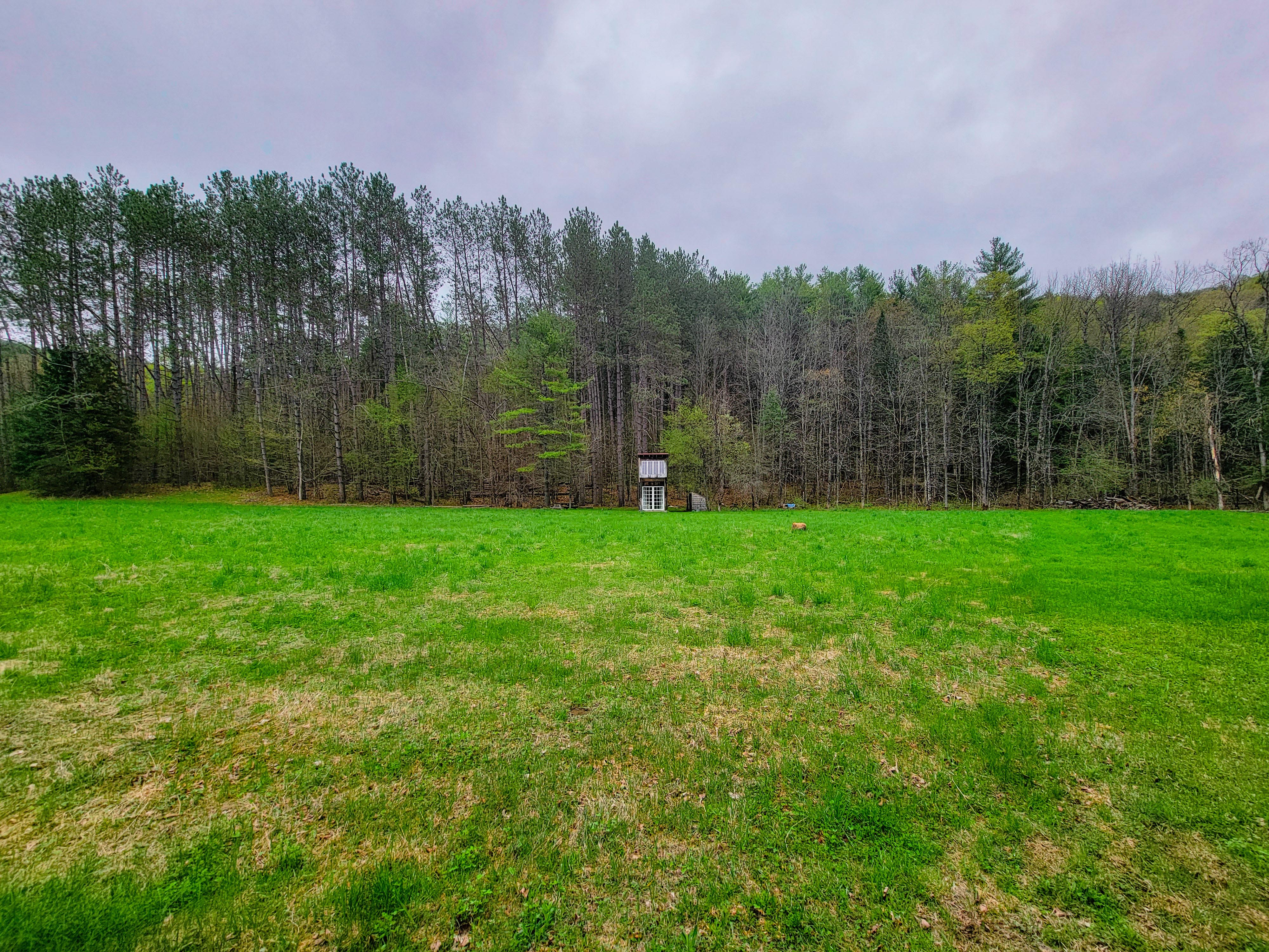 12 Meadowbrook Ln - Chelsea