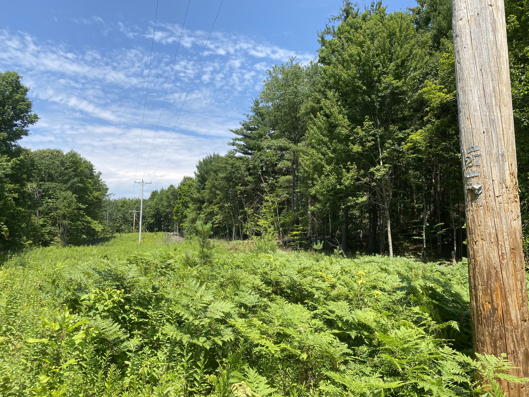 Listing Image 73