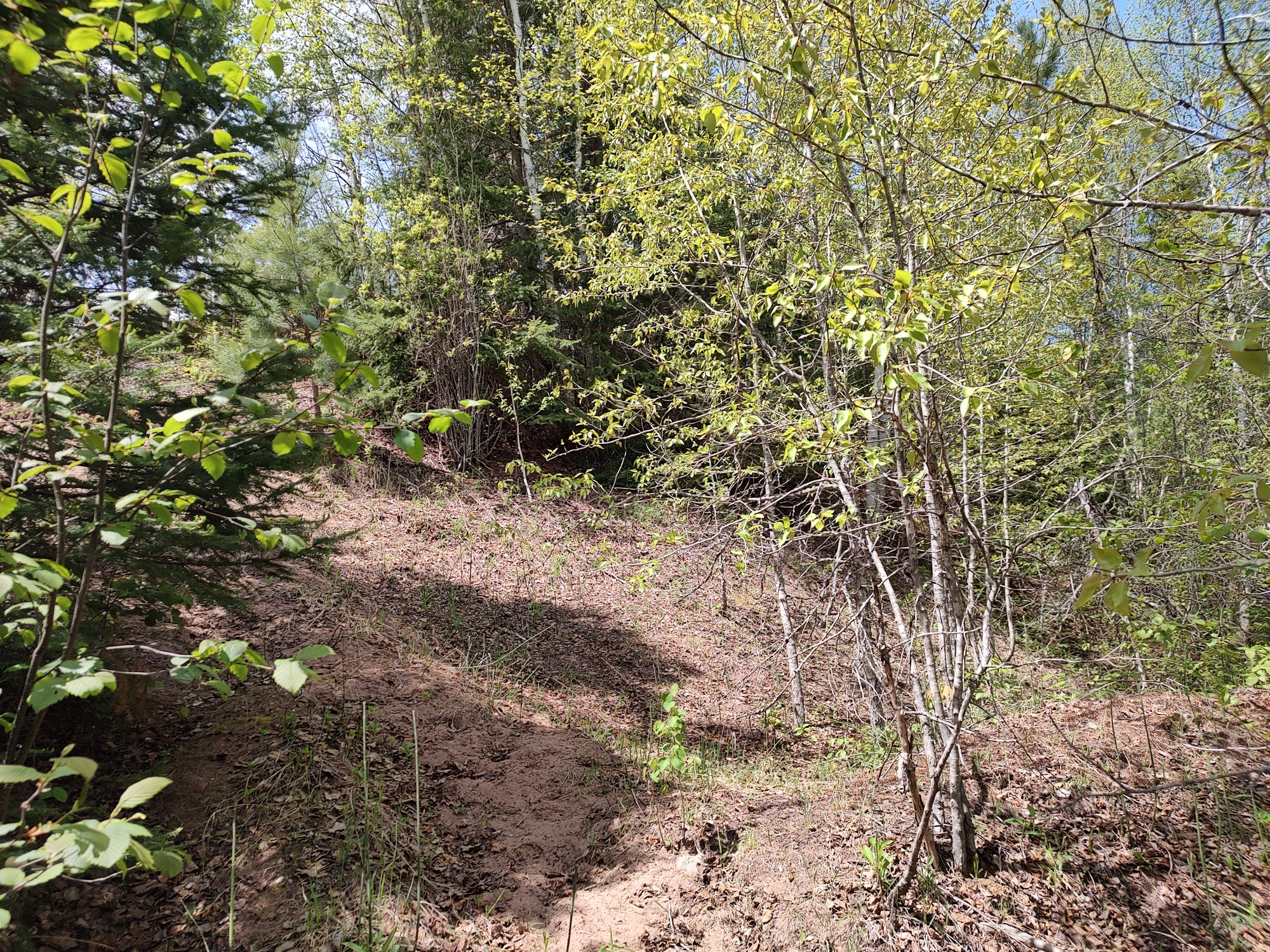 160 Acre Wilderness Retreat 50175391