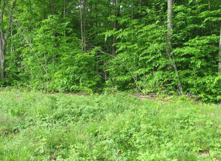 Listing Image 27