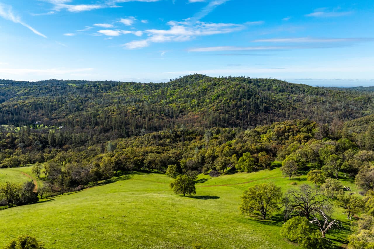 Hyatt Ranch