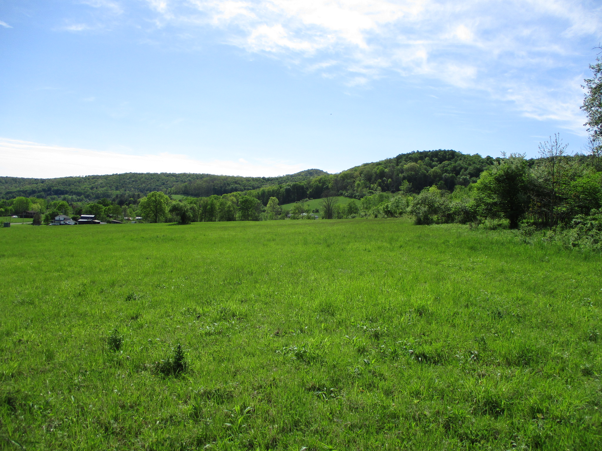 Long View Acres