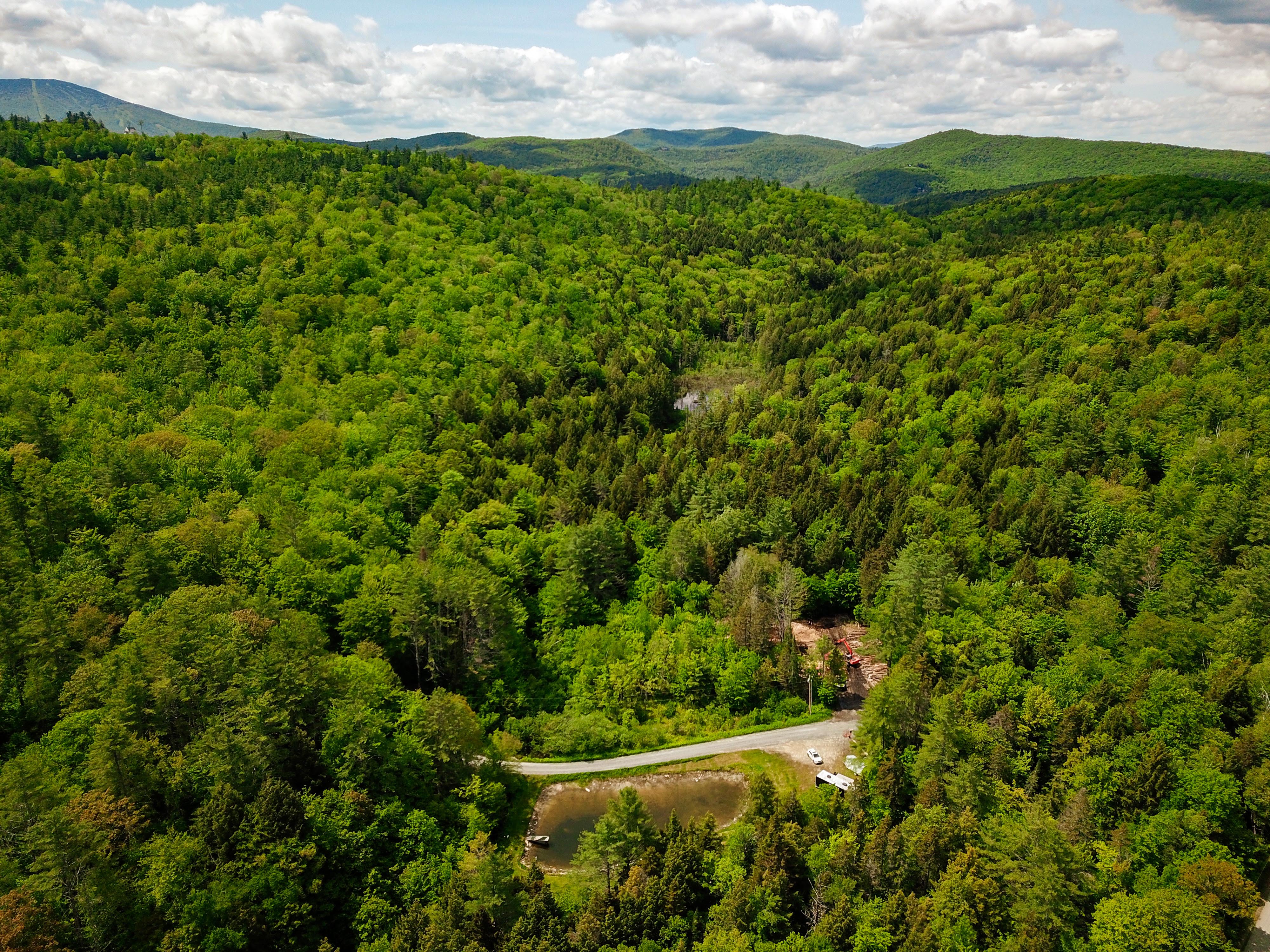 184 Schoolhouse Rd Jamaica