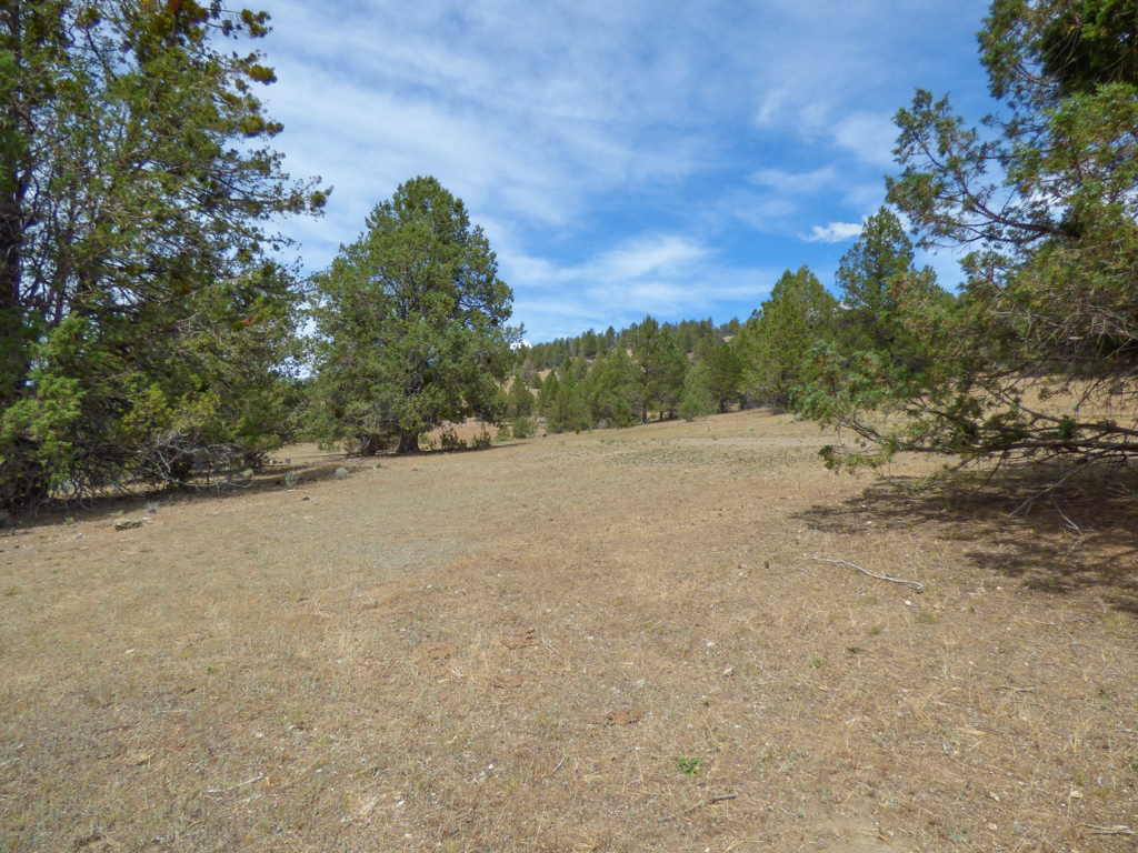 Blacktail Hills Retreat