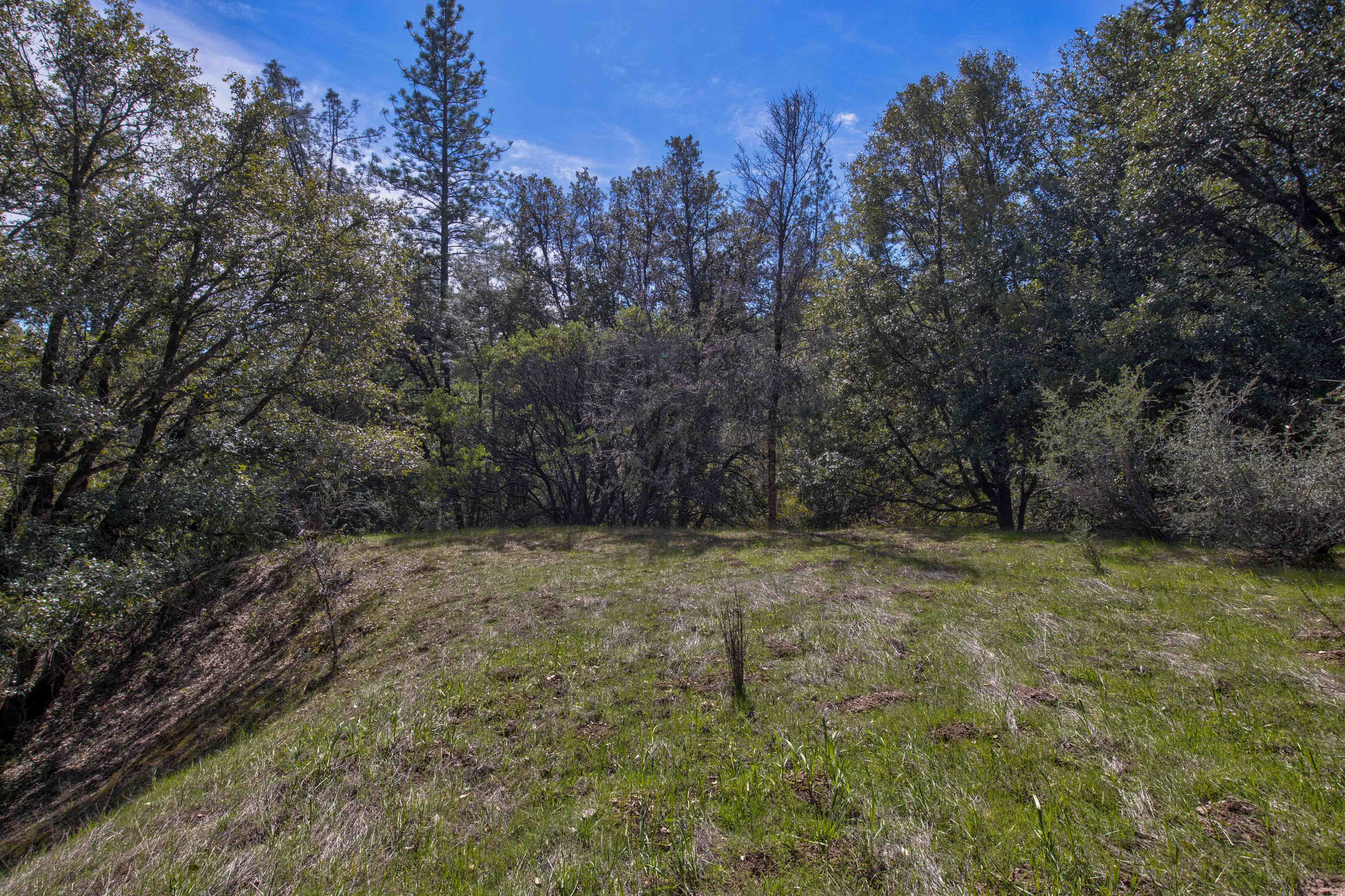 Listing Image 26