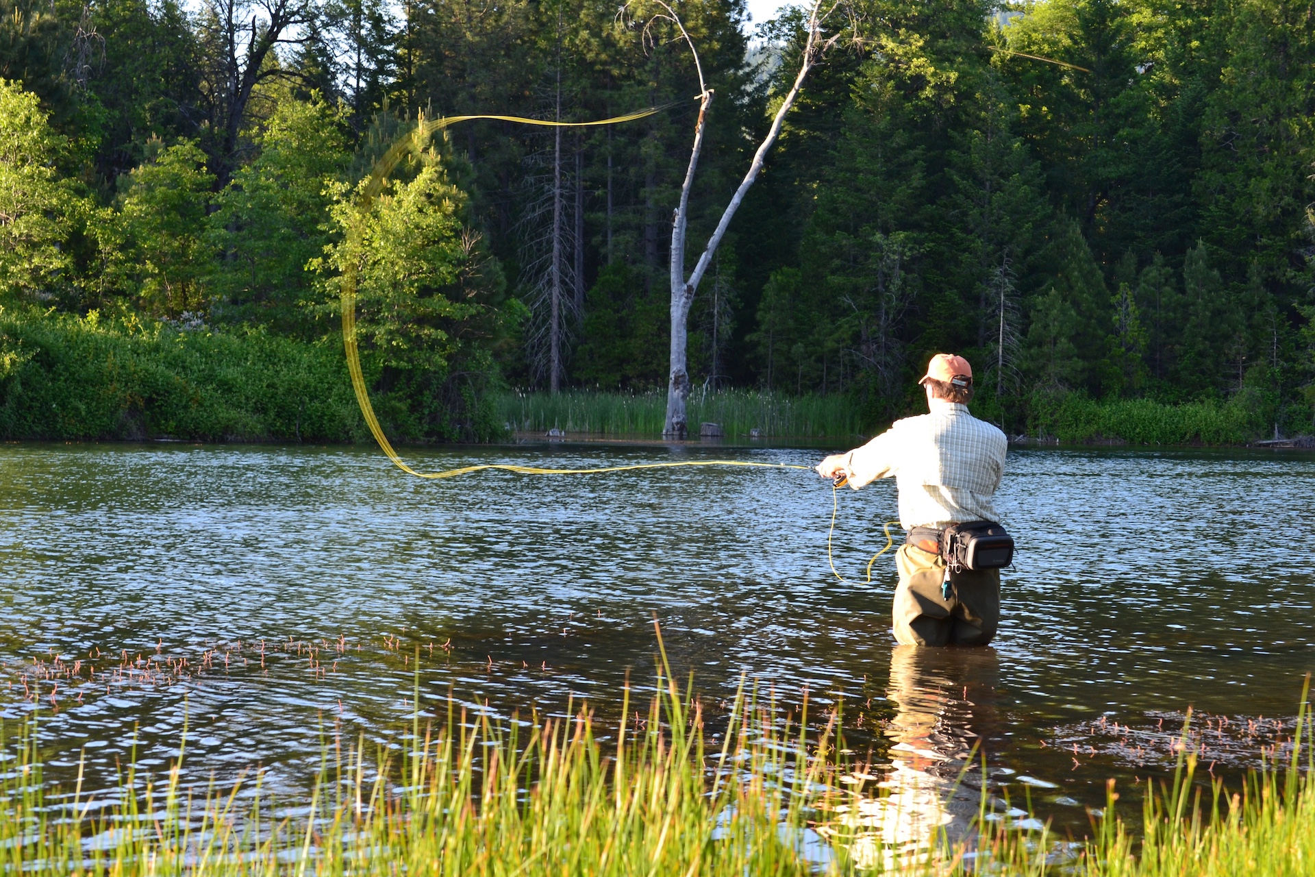 Hayes Springs Ranch