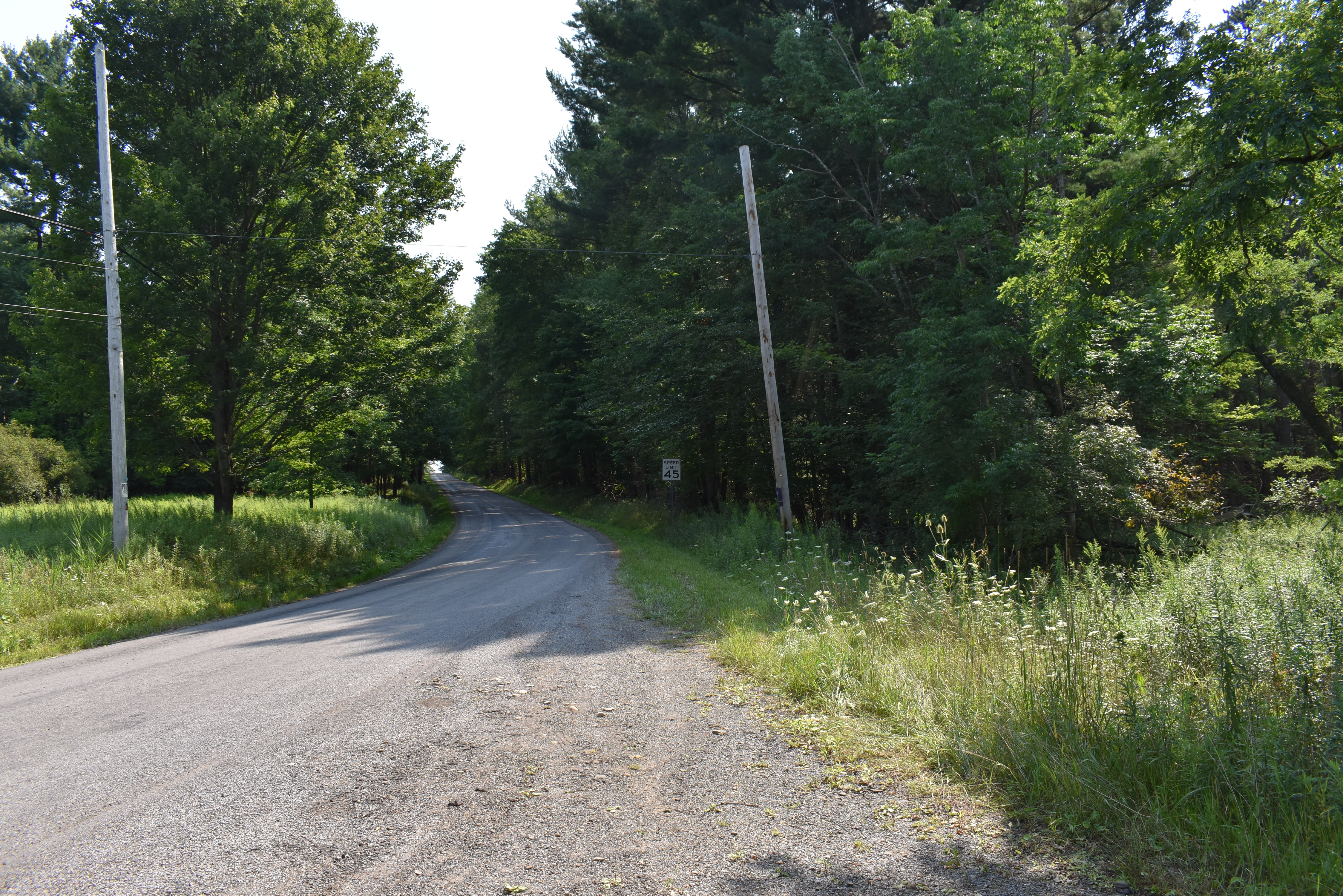 Listing Image 37