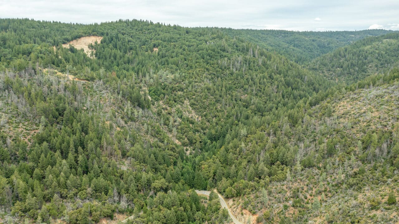 Foresthill Divide