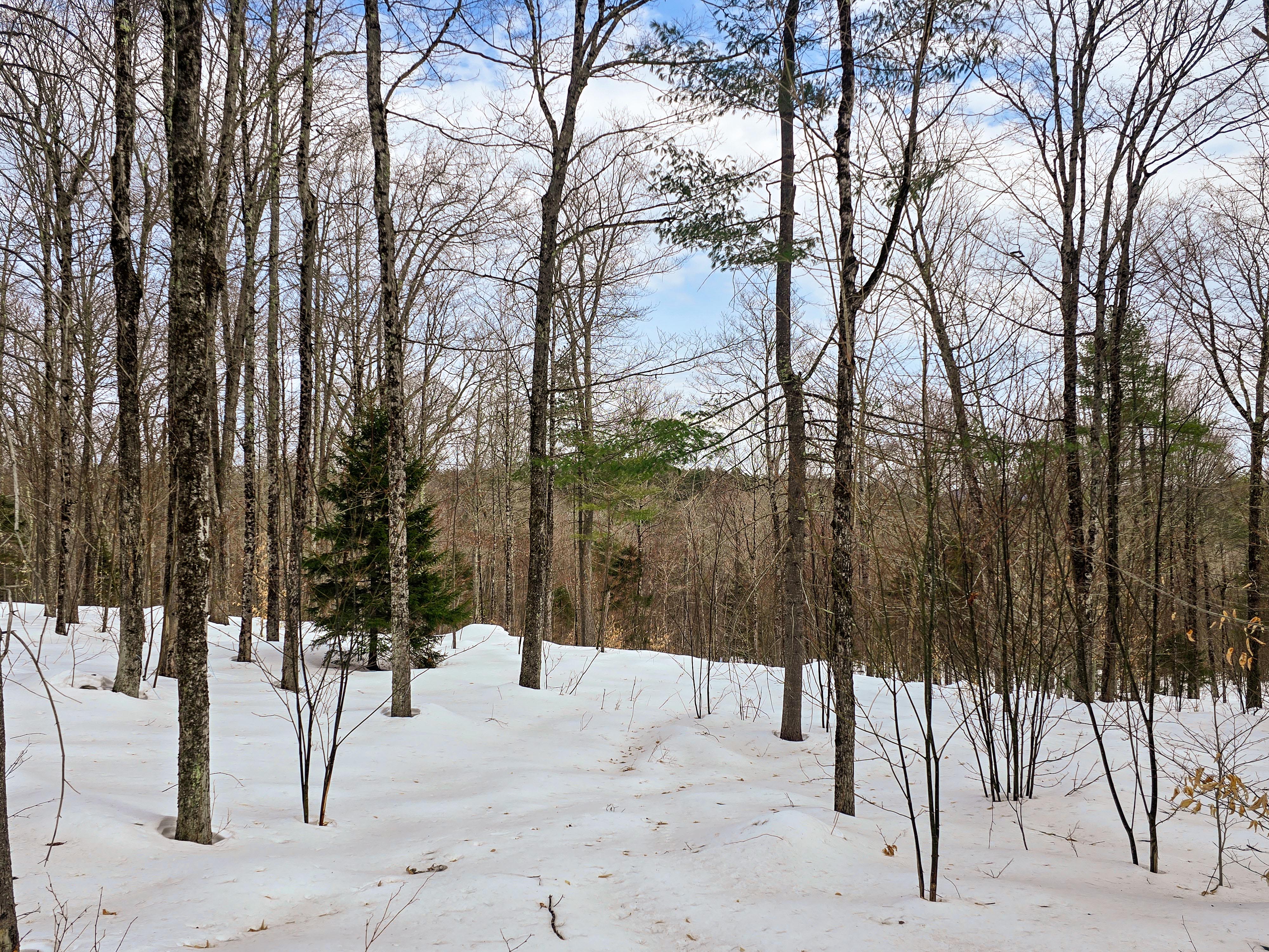 184 Schoolhouse Rd Jamaica