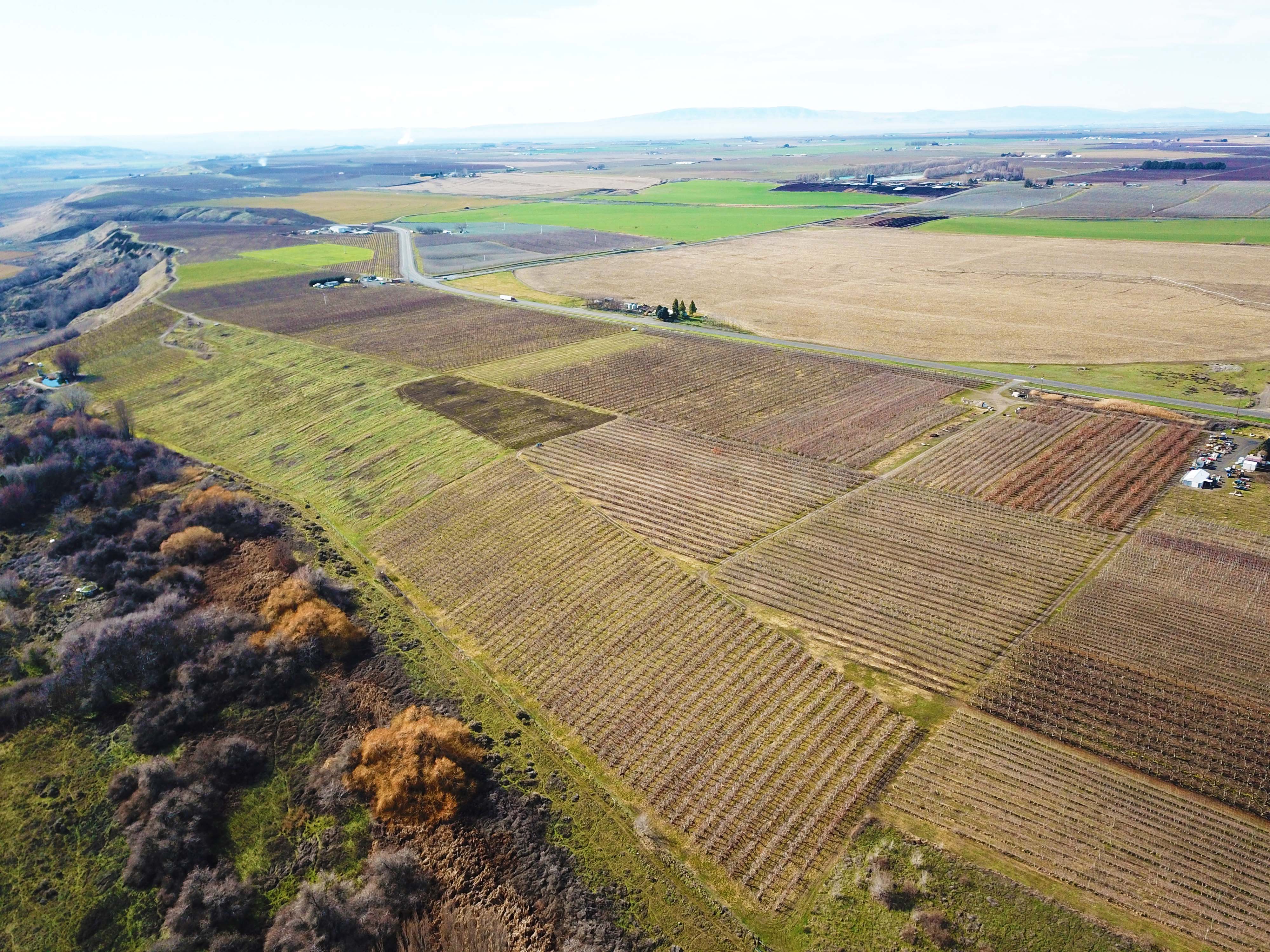 Best Price in County for Productive Orchard