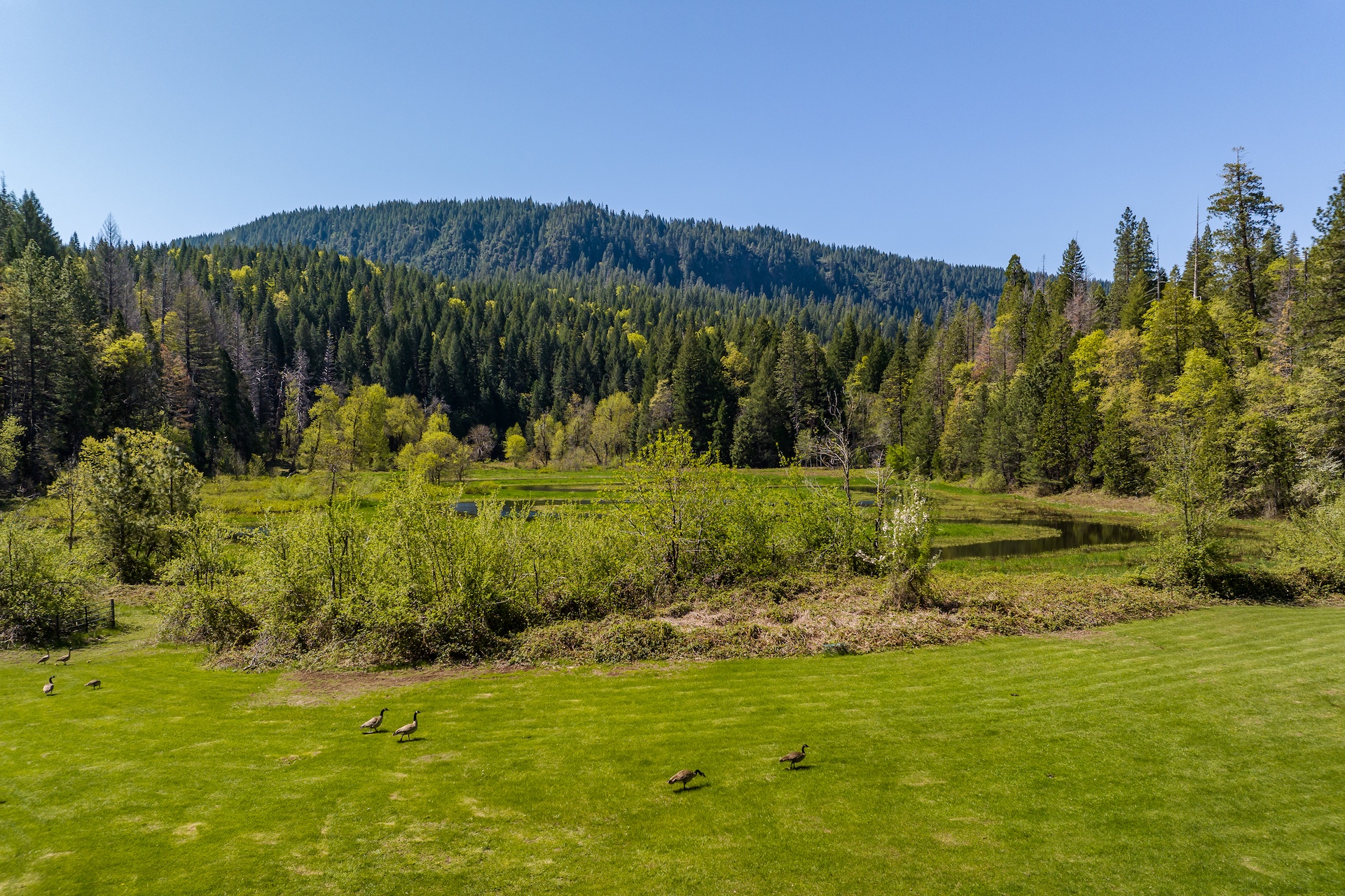 Hayes Springs Ranch