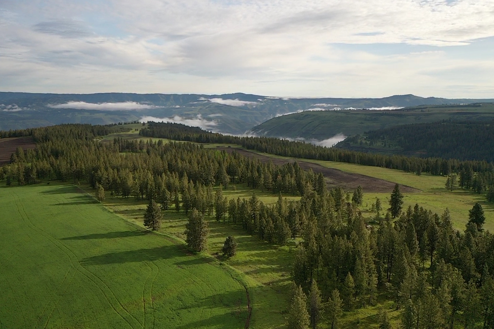 Buford Ridge Ranch