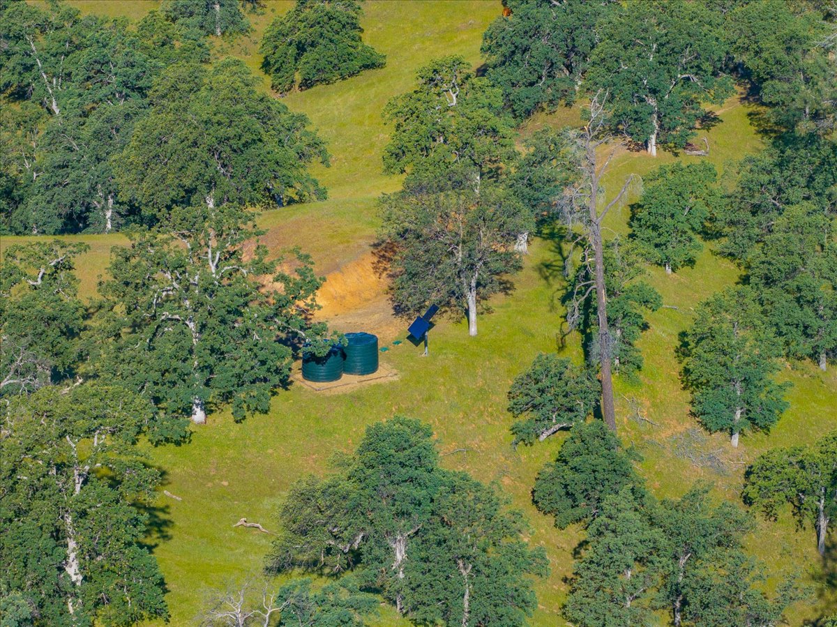 Davis Ranch Road