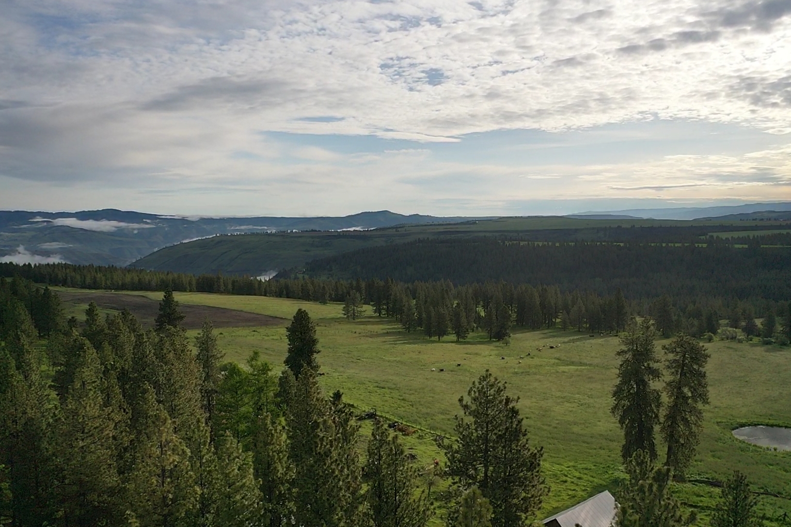 Buford Ridge Ranch