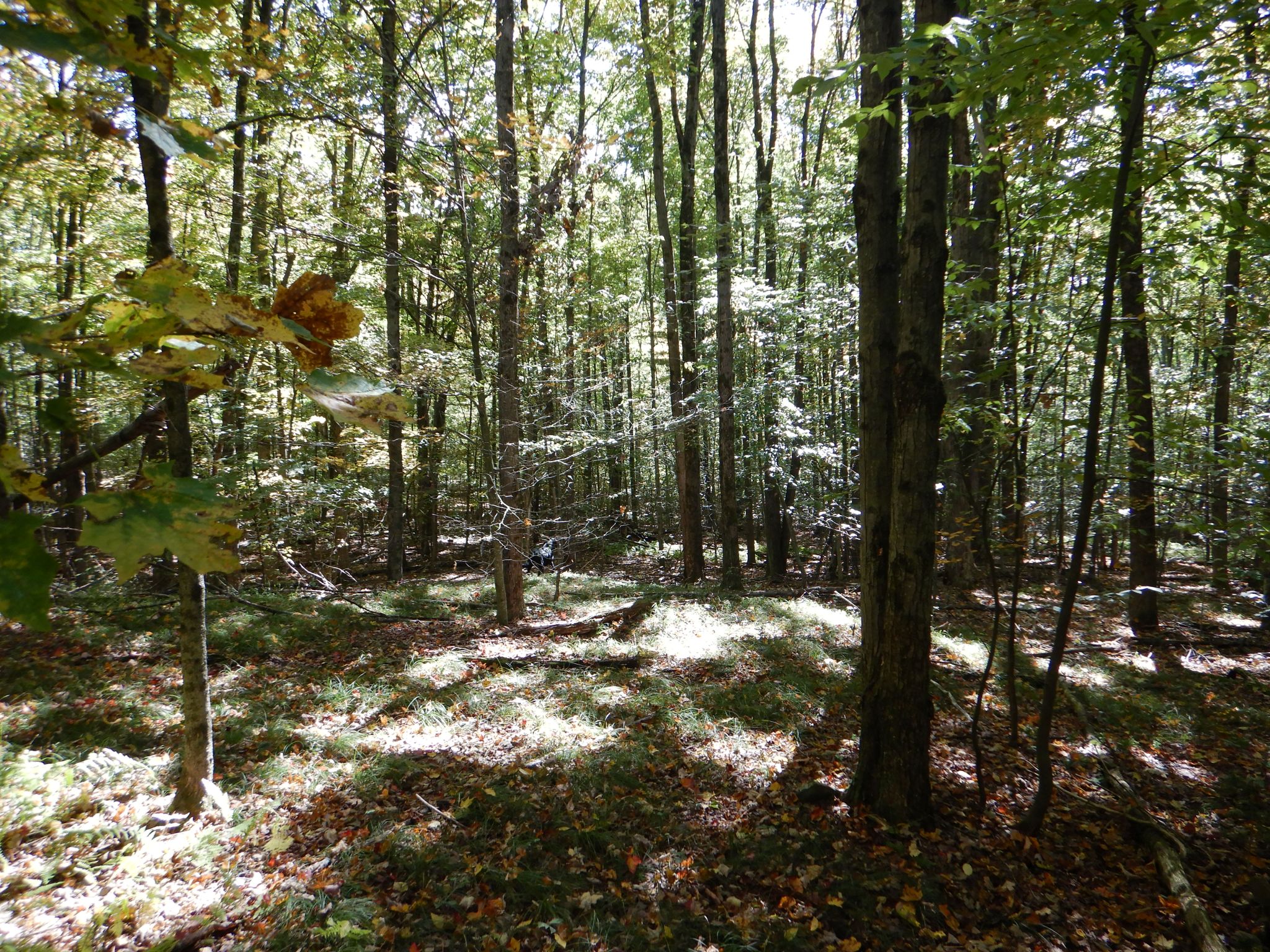Listing Image 34
