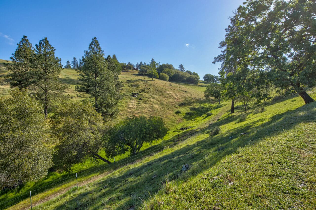 Trembath Mountain Vista