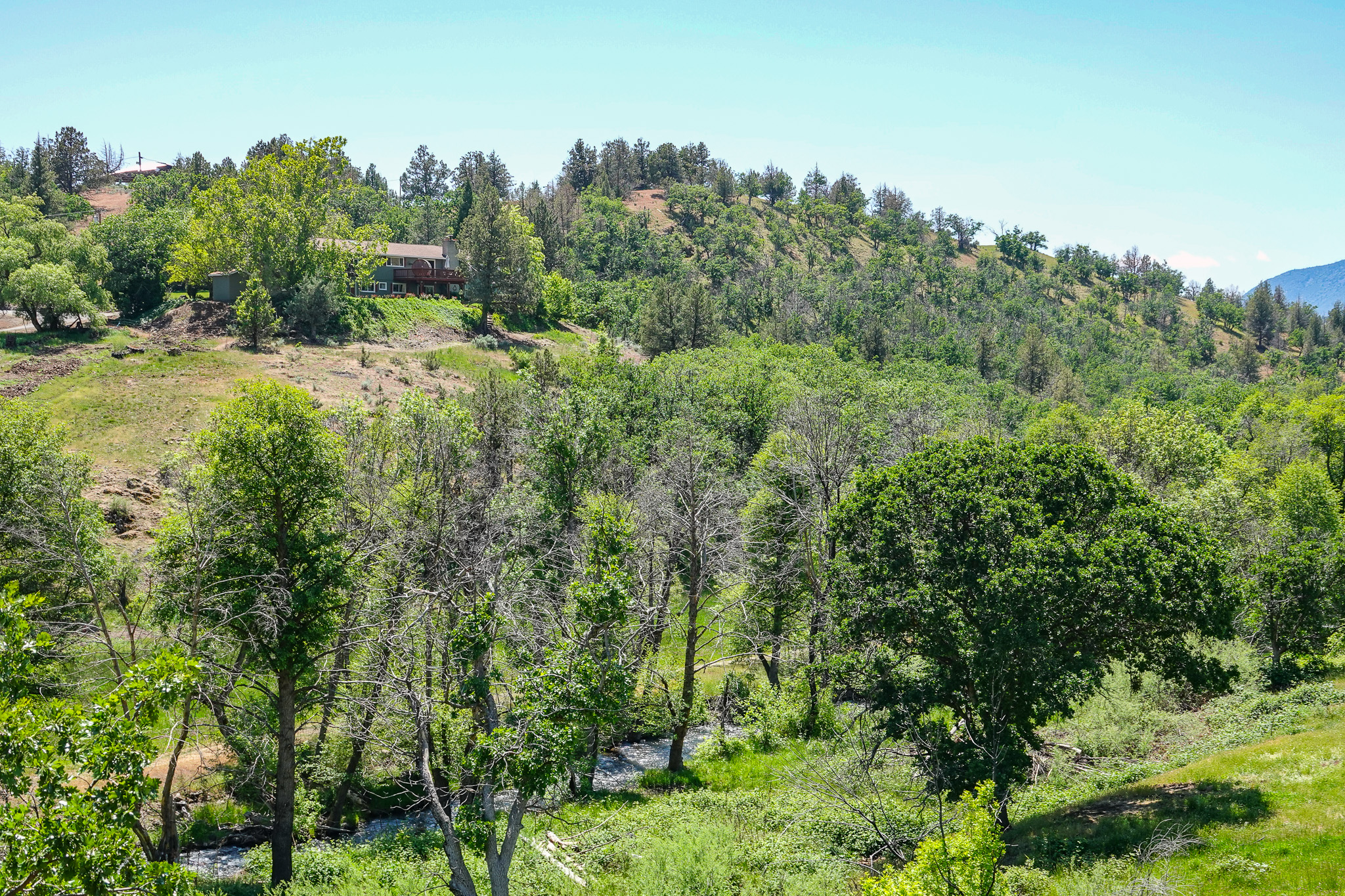 MJ Ranch